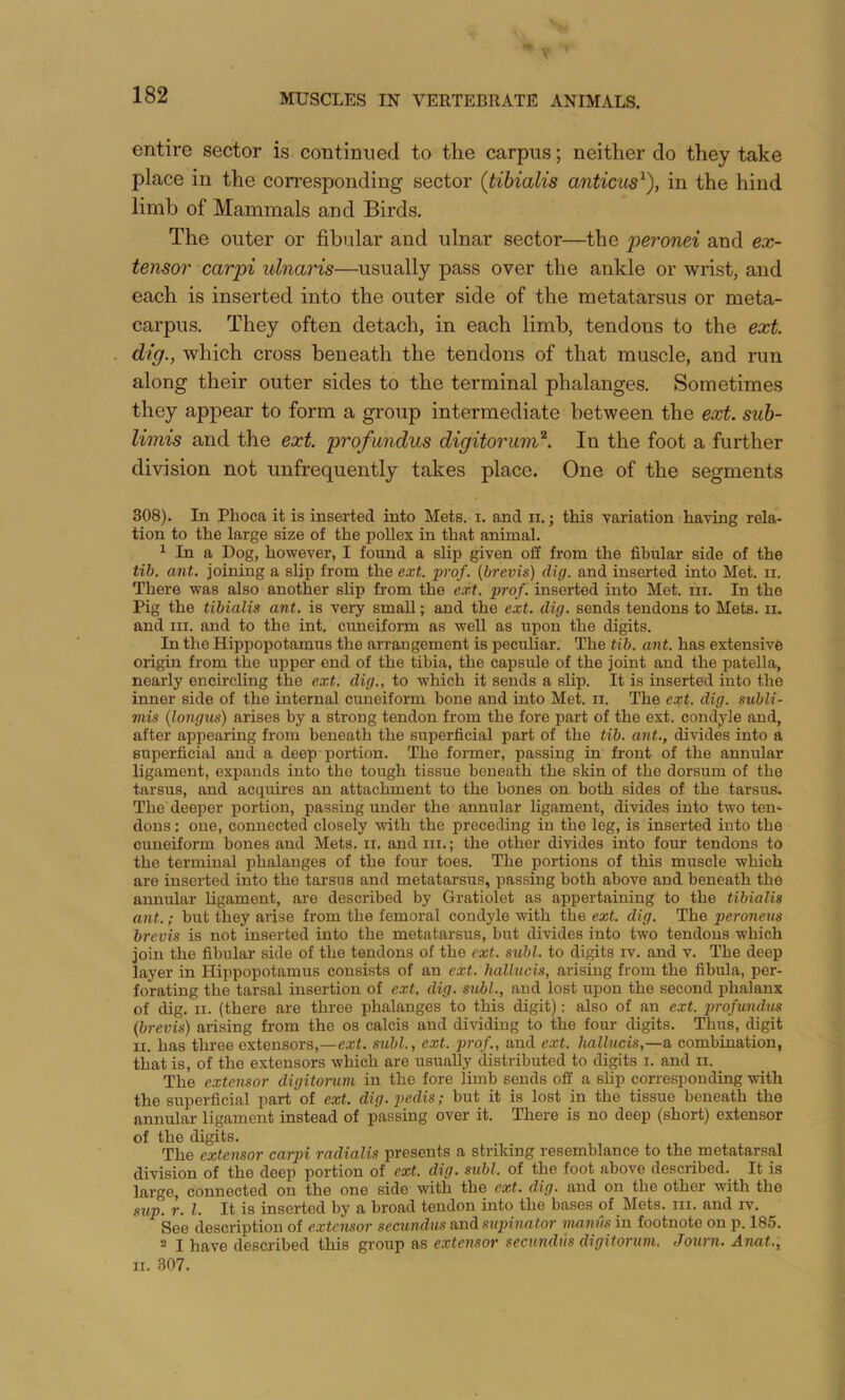 entire sector is continued to the carpus; neither do they take place in the corresponding sector {tibialis anticus^), in the hind limb of Mammals and Birds. The outer or fibular and ulnar sector—the j^eronei and ex- tensor carpi ulnaris—usually pass over the ankle or wrist, and each is inserted into the outer side of the metatarsus or meta- carpus. They often detach, in each limb, tendons to the ext. dig., which cross beneath the tendons of that muscle, and run along their outer sides to the terminal phalanges. Sometimes they appear to form a group intermediate between the ext. suh- limis and the ext. profundus digitorum^. In the foot a further division not unfrequently takes place. One of the segments 308). In Phoca it is inserted into Mets. i. and ii.; tins variation having rela- tion to the large size of the pollex in that animal. ^ In a Dog, however, I found a slip given off from the fibular side of the tib. ant. joining a slip from the ext. prof, [brevis) dig. and inserted into Met. ii. There was also another slip from the e.vt. pro f, inserted into Met. in. In the Pig the tibialis ant. is very small; and the ext. dig. sends tendons to Mets. ii. and III. and to the int. cimeiform as well as upon the digits. In the Hippopotamus the arrangement is peculiar. The tib. ant. has extensive origin from the upper end of the tibia, the capsule of the joint and the patella, nearly encirchng the ext. dig., to which it sends a slip. It is inserted into the inner side of the internal cuneiform bone and into Met. ii. The ext. dig. subli- mis [longus) arises by a strong tendon from the fore part of the ext. condyle and, after appearing from beneath the superficial part of the tib. ant., divides into a superficial and a deep portion. The former, passing in front of the annular ligament, expands into the tough tissue beneath the skin of the dorsum of the tarsus, and acquires an attachment to the bones on both sides of the tarsus. The deeper portion, passing under the annular ligament, divides into two ten- dons : one, connected closely mth the preceding in the leg, is inserted into the cuneiform bones and Mets. ii, and iii.; the other divides into four tendons to the terminal phalanges of the four toes. The portions of this muscle which are inserted into the tarsus and metatarsus, passing both above and beneath the annular ligament, are described by Gratiolet as appertaining to the tibialis ant.; but they arise from the femoral condyle with the ext. dig. The peroneus brevis is not inserted into the metatarsus, but divides into two tendons which join the fibular side of the tendons of the ext. subl. to digits iv. and v. The deep layer in Hippopotamus consists of an ext. hallucis, arising from the fibula, per- forating the tarsal insertion of ext. dig. stibl., and lost upon the second phalanx of dig. II. (there are three phalanges to this digit): also of an ext. ptrofundxis (brevis) arising from the os calcis and dividing to the four digits. Thus, digit II. has three extensors,—ext. subl., ext. prof., and ext. hallucis,—a combination, that is, of the extensors which are usually distributed to digits i. and ii. The extensor digitorum in the fore limb sends off a slip corresponding with the superficial part of ext. dig. pedis; but it is lost in the tissue beneath the annular ligament instead of passing over it. There is no deep (short) extensor of the digits. The extensor carpi radialis presents a striking resemblance to the metatarsal division of the deep portion of ext. dig. subl. of the foot above described. It is large, connected on the one side with the ext. dig. and on the other with the sup. r. 1. It is inserted by a broad tendon into the bases of Mets. iii. and iv. See description of extensor secundus andsupuiator manils in footnote on p. 185. I have described this group as extensor secundus digitorum. Journ. Anat., II. 307.