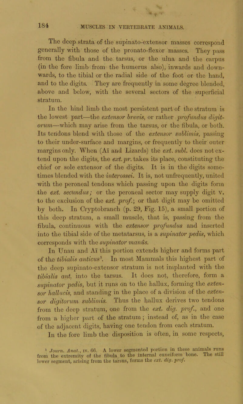 The deep strata of the supinato-extensor masses correspond generally with those of the pronato-flexor masses. They pass from the fibula and the tarsus, or the ulna and the carpus (in the fore limb from the humerus also), inwards and down- wards, to the tibial or the radial side of the foot or the hand, and to the digits. They are frequently in some degree blended, above and below, with the several sectors of the superficial stratum. In the hind limb the most persistent part of the stratum is the lowest part—the extensor hrevis, or rather profundus digit- orum—which may arise from the tarsus, or the fibula, or both. Its tendons blend with those of the extensor sublimis, passing to their under-surface and margins, or frequently to their outer margins only. When (Ai and Lizards) the ext. suhl. does not ex- tend upon the digits, the ext.pr. takes its place, constituting the chief or sole extensor of the digits. It is in the digits some- times blended with the interossei. It is, not unfrequently, united with the peroneal tendons which passing upon the digits form the ext. secundiLs; or the peroneal sector may supply digit v. to the exclusion of the ext. prof.; or that digit may be omitted by both. In Cryptobranch (p. 29, Fig. 15), a small portion of this deep stratum, a small muscle, that is, passing from the fibula, continuous with the extensor profundus and inserted into the tibial side of the metatarsus, is a supinator pedis, which corresponds with the supinator rnanHs. In Unau and Ai this portion extends higher and forms part of the tibialis anticus^. In most Mammals this highest part of the deep supinato-extensor stratum is not implanted with the tibialis ant, into the tarsus. It does not, therefore, form a supinator pedis, but it runs on to the hallux, forming the exten- sor hallucis, and standing in the place of a division of the exteiu- sor digitoruni sublimis. Thus the hallux derives two tendons from the deep stratum, one from the ext. dig. prof, and one from a higher part of the stratum; instead of, as in the case of the adjacent digits, having one tendon from each stratum. In the fore limb the disposition is often, in some respects, 1 Journ. Anat., iv. 66. A lower segmented portion in these animals mns from the extremity of the fibula to the internal cuneiform bone. The still lower segment, arising from the tarsus, forms the ext. dig. prof.