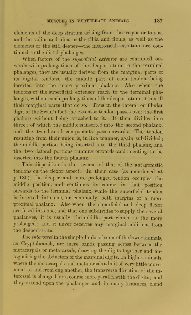 ^ r elements of the deep stratum arising from the carpus or tarsus, and the radius and ulna, or the tibia and fibula, as well as the elements of the still deeper—the interosseal—stratum, are con- tinued to the distal phalanges. When factors of the superficial extensor are continued on- wards with prolongations of the deep stratum to the terminal phalanges, they are usually derived from the marginal parts of its digital tendons, the middle part of each tendon being inserted into the more proximal phalanx. Also when the tendons of the superficial extensor reach to the terminal pha- langes, without such prolongations of the deep stratum, it is still their marginal parts that do so. Thus in the lateral or fibular digit of the Swan’s foot the extensor tendon passes over the fii*st phalanx without being attached to it. It then divides into three; of which the middle is inserted into the second phalanx, and the two lateral components pass onwards. The tendon resulting from their union is, in like manner, again subdivided; the middle portion being inserted into the third phalanx, and the two lateral portions running onwards and meeting to be inserted into the fourth phalanx. This disposition is the reverse of that of the antagonistic tendons on the flexor aspect. In their case (as mentioned at p. 180), the deeper and more prolonged tendon occupies the middle position, and continues its course in that position onwards to the terminal phalanx, while the superficial tendon is inserted into one, or commonly both margins of a more proximal phalanx. Also when the superficial and deep flexor are fused into one, and that one subdivides to supply the several phalanges, it is usually the middle part which is the more prolonged; and it never receives any marginal additions from the deeper strata. The interossei in the simple limbs of some of the lower animals, as Cryptobranch, are mere bands passing across between the metacarpals or metatarsals, drawing the digits together and an- tagonising the abductors of the marginal digits. In higher animals, where the metacarpals and metatarsals admit of very little move- ment to and from onfs another, the transverse direction of the in- terossei is changed for a course more parallel with the digits; and they extend upon the phalanges and, in many instances, blend