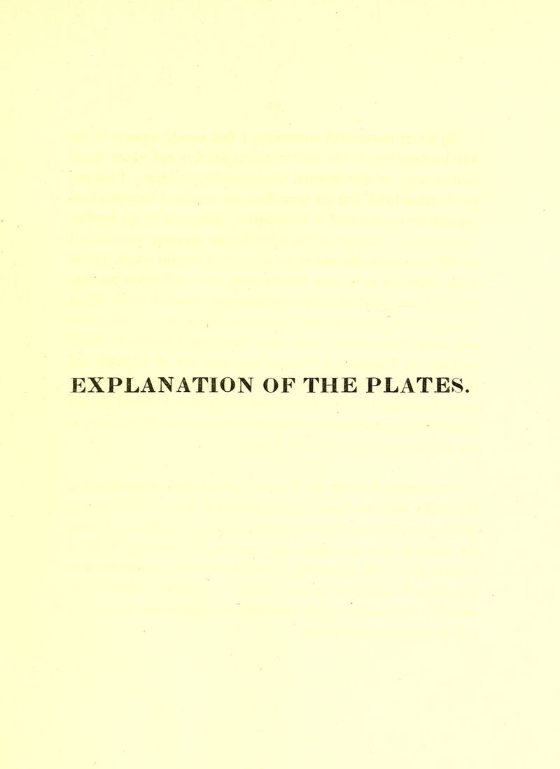 EXPLANATION OF THE PLATES.