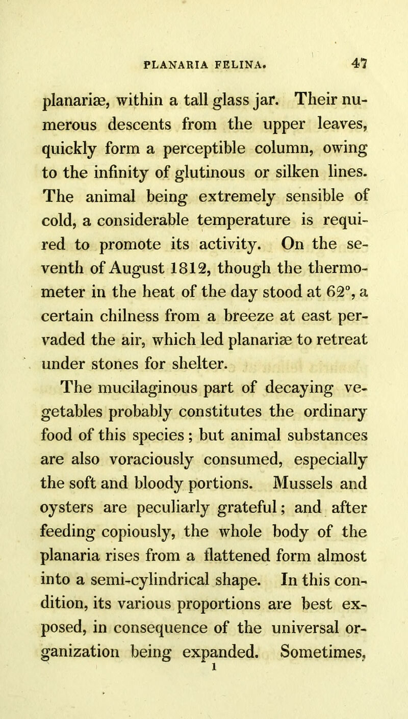 planariae, within a tall glass jar. Their nu- merous descents from the upper leaves, quickly form a perceptible column, owing to the infinity of glutinous or silken lines. The animal being extremely sensible of cold, a considerable temperature is requi- red to promote its activity. On the se- venth of August 1812, though the thermo- meter in the heat of the day stood at 62°, a certain chilness from a breeze at east per- vaded the air, which led planariae to retreat under stones for shelter. The mucilaginous part of decaying ve- getables probably constitutes the ordinary food of this species; but animal substances are also voraciously consumed, especially the soft and bloody portions. Mussels and oysters are peculiarly grateful; and after feeding copiously, the whole body of the planaria rises from a flattened form almost into a semi-cylindrical shape. In this con- dition, its various proportions are best ex- posed, in consequence of the universal or- ganization being expanded. Sometimes, i