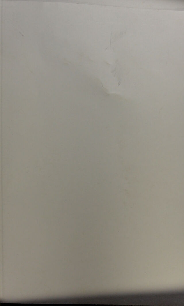 digitised image 1