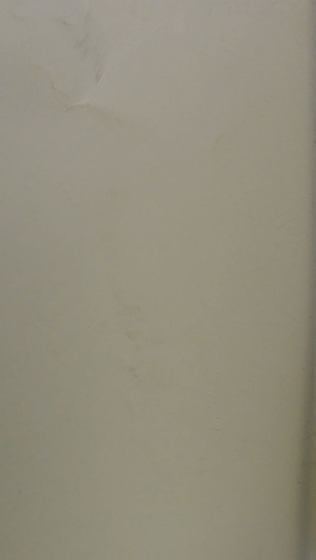 digitised image 2