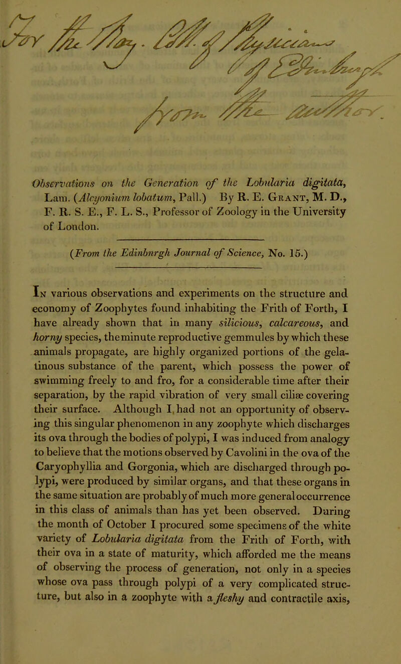 Ohserx'ations on the Generation the hohularia digitatat Lara. {Alcijonium lobatum, Pall.) By R. E. Grant, M. D., F. R. S. E., F. L. S., Professor of Zoology ia the University of London. {From the Edinburgh Journal of Science, No. 15.) In various observations and experiments on the structure and economy of Zoophytes found inhabiting the Frith of Forth, I have already shown that in many silicious^ calcareous, and horny species, the minute reproductive gemmules by which these animals propagate, are highly organized portions of the gela- tinous substance of the parent, which possess the power of swimming freely to and fro, for a considerable time after their separation, by the rapid vibration of very small ciliae covering their surface. Although I, had not an opportunity of observ- ing this singular phenomenon in any zoophyte which discharges its ova through the bodies of polypi, I was induced from analogy to believe that the motions observed by Cavolini in the ova of the Caryophyllia and Gorgonia, which are discliarged through po- lypi, were produced by similar organs, and that these organs in the same situation are probably of much more general occurrence in this class of animals than has yet been observed. Daring the month of October I procured some specimens of the white variety of Lobularia digitata from the Frith of Forth, with their ova in a state of maturity, which afforded me the means of observing the process of generation, not only in a species whose ova pass through polypi of a very complicated struc- ture, but also in a zoophyte with a fleshy and contractile axis,