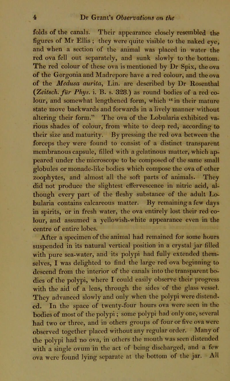 folds of the canals. Their appearance closely resembled the figures of Mr Ellis ; they were quite visible to the naked eye, and when a section of the animal was placed in water the red ova fell out separately, and sunk slowly to the bottom. The red colour of these ova is mentioned by Dr Spix, the ova of the Gorgoniaand Madrepore have a red colour, and the ova of the Medusa aurita, Lin. are described by Dr Rosenthal {Xeitsch. fur Phys. i. B. s. 328.) as round bodies of a red co- lour, and somewhat lengthened form, which “ in their mature state move backwards and forwards in a lively manner without altering their form.” The ova of the Lobularia exhibited va- rious shades of colour, from white to deep red, according to their size and maturity. By pressing the red ova between the forceps they were found to consist of a distinct transparent membranous capsule, filled with a gelatinous matter, which ap- peared under the microscope to be composed of the same small globules or monade-like bodies which compose the ova of other zoophytes, and almost all the soft parts of animals. They did not produce the slightest effervescence in nitric acid, al- though every part of the fleshy substance of the adult Lo^ bularia contains calcareous matter. By remaining a few days in spirits, or in fresh water, the ova entirely lost their red co- lour, and assumed a yellowish-white appearance even in the centre of entire lobes. After a specimen of the animal had remained for some hours suspended in its natural vertical position in a crystal jar filled with pure sea-water, and its polypi had fully extended them- selves, I was delighted to find the large red ova beginning to descend from the interior of the canals into the transparent bo- dies of the polypi, where I could easily observe their progress with the aid of a lens, through the sides of the glass vessel. They advanced slowly and only when the polypi were distend- ed. In the space of twenty-four hours ova were seen in the bodies of most of the polypi; some polypi had only one, several had two or three, and in others groups of four or five ova were observed together placed without any regular order. Many of the polypi had no ova, in others the mouth was seen distended with a single ovum in the act of being discharged, and a few ova were found lying separate at the bottom of the jar. All