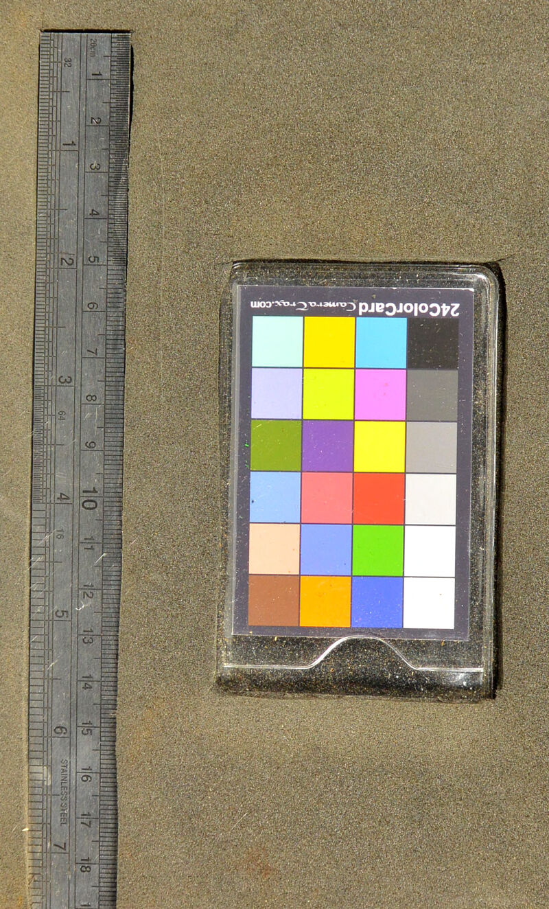 No text description is available for this image