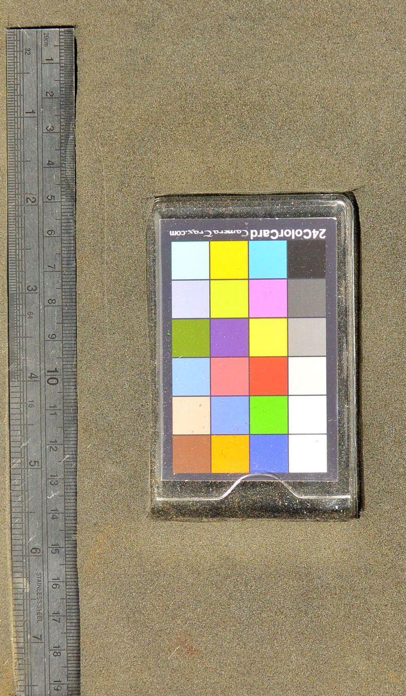 No text description is available for this image