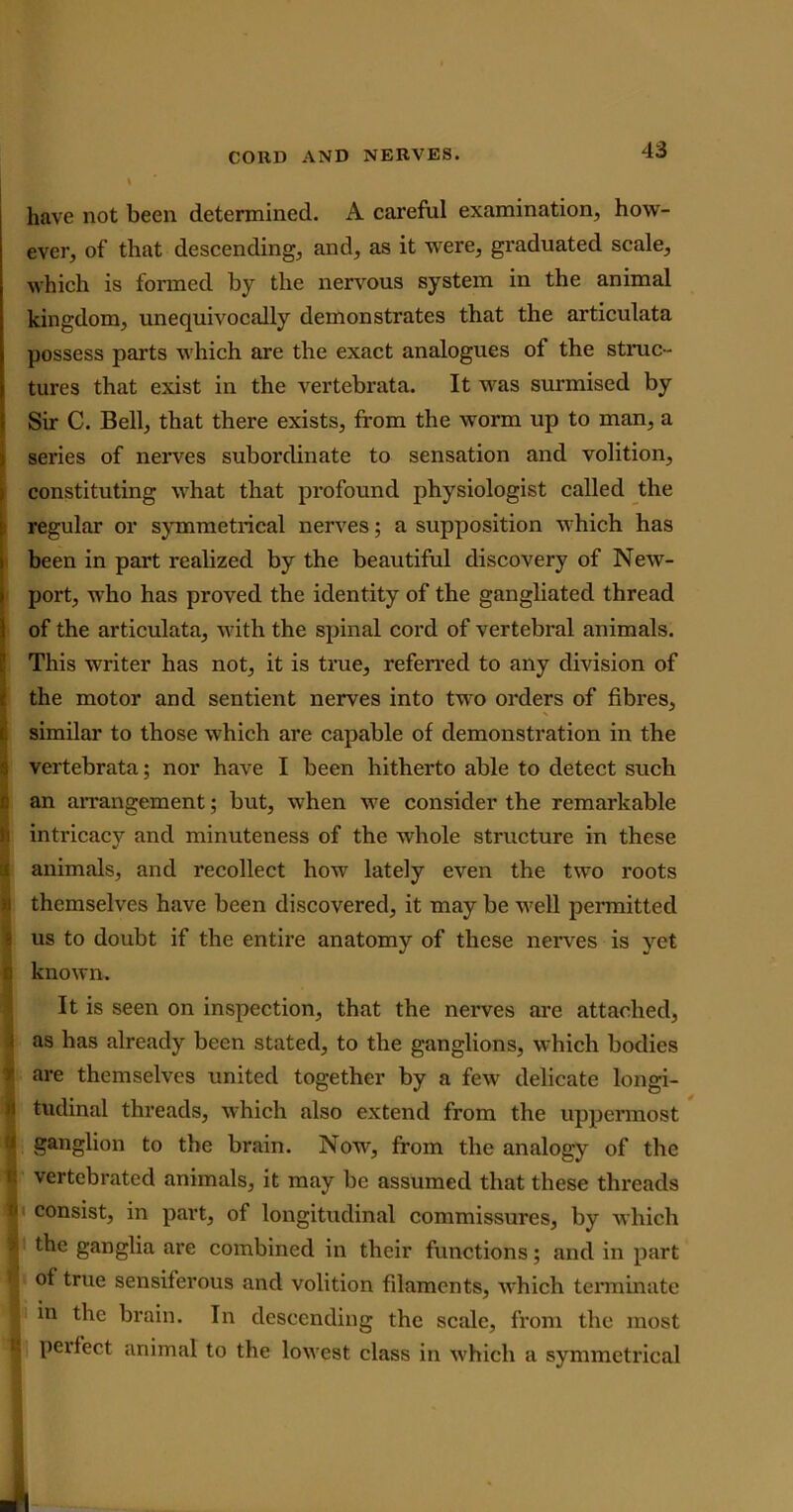 have not been determined. A careful examination, how- ever, of that descending, and, as it were, graduated scale, which is formed by the nervous system in the animal kingdom, unequivocally demonstrates that the articulata possess parts which are the exact analogues of the struc- tures that exist in the vertebrata. It was surmised by Sir C. Bell, that there exists, from the worm up to man, a series of nerves subordinate to sensation and volition, constituting what that profound physiologist called the regular or symmetrical nerves; a supposition which has been in part realized by the beautiful discovery of New- port, who has proved the identity of the gangliated thread of the articulata, with the spinal cord of vertebral animals. This writer has not, it is true, referred to any division of the motor and sentient nerves into two orders of fibres, similar to those which are capable of demonstration in the vertebrata; nor have I been hitherto able to detect such an arrangement; but, when we consider the remarkable intricacy and minuteness of the whole structure in these animals, and recollect how lately even the two roots themselves have been discovered, it may be well permitted us to doubt if the entire anatomy of these nerves is yet i known. It is seen on inspection, that the nerves are attached, i as has already been stated, to the ganglions, which bodies v are themselves united together by a few delicate longi- i tudinal threads, which also extend from the uppermost rj ganglion to the brain. Now, from the analogy of the ; vertebrated animals, it may be assumed that these threads i consist, in part, of longitudinal commissures, by which I the ganglia are combined in their functions; and in part of true sensiferous and volition fdamcnts, which terminate I in the brain. In descending the scale, from the most 1 perfect animal to the lowest class in which a symmetrical