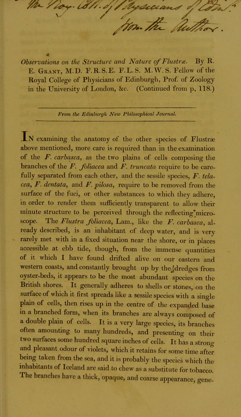 4 Observations on the Structure and Nature of Flustra. By R. E. Grant, M.D. F.R.S.E. F.L.S. M.W. S. Fellow of the Royal College of Physicians of Edinburgh, Prof, of Zoology in the University of London, &c. (Continued from p. 118.) From the Edinburgh New Philosophical Journal. In examining the anatomy of the other species of Flustrae above mentioned, more care is required than in the examination of the F. carbasea, as the two plains of cells composing the branches of the F. foliacea and F. truncata require to be care- fully separated from each other, and the sessile species, F. tela- cea, F. dentata, and F. pilosa, require to be removed from the surface of the fuel, or other substances to which they adhere, in order to render them sufficiently transparent to allow their minute structure to be perceived through the reflectingTmicro- scope. The Flustra foliacea, Lam., like the F. carbasea, al- ready described, is an inhabitant cf deep water, and is very - rarely met with in a fixed situation near the shore, or in places accessible at ebb tide, though, from the immense quantities of it which I have found drifted alive on our eastern and western coasts, and constantly brought up by the. ^dredges from oyster-beds, it appears to be the most abundant species on the British shores. It generally adheres to shells or stones,.on the surface of which it first spreads like a sessile species with a single plain of cells, then rises up in the centre of the expanded base in a branched form, when its branches are always composed of a double plain of cells. It is a very large species, its branches often amounting to many hundreds, and presenting on their two surfaces some hundred square inches of cells. It has a strong and pleasant odour of violets, which it retains for some time after being taken from the sea, and it is probably the species which the inhabitants of Iceland are said to chew as a substitute for tobacco. The branches have a thick, opaque, and coarse appearance, gene-