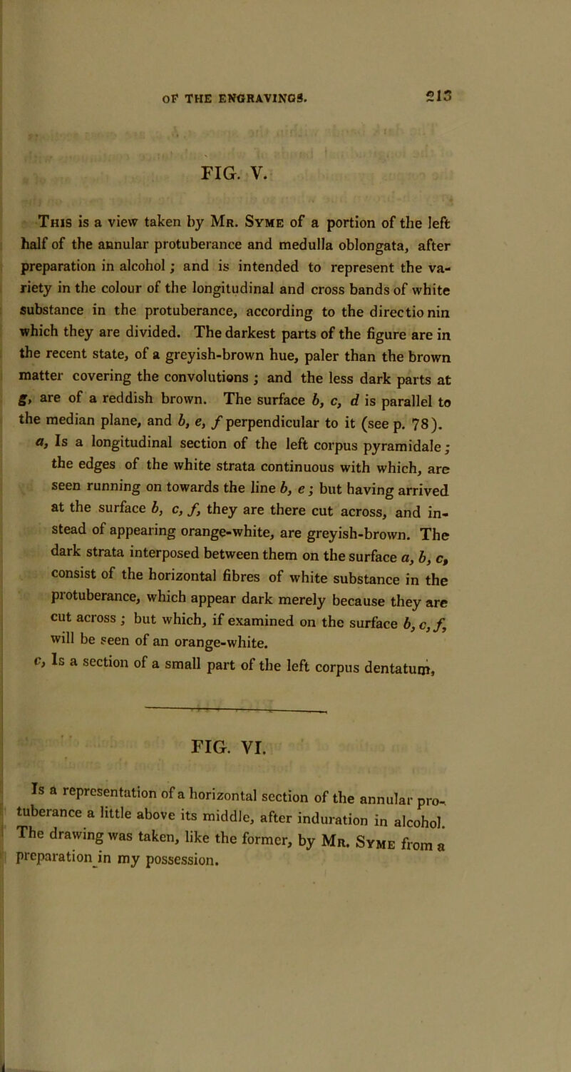 FIG. V. This is a view taken by Mr. Syme of a portion of the left half of the annular protuberance and medulla oblongata, after preparation in alcohol; and is intended to represent the va- riety in the colour of the longitudinal and cross bands of white substance in the protuberance, according to the directio nin which they are divided. The darkest parts of the figure are in the recent state, of a greyish-brown hue, paler than the brown matter covering the convolutions ; and the less dark parts at g, are of a reddish brown. The surface b, c, d is parallel to the median plane, and b, e, / perpendicular to it (see p. 78). a, Is a longitudinal section of the left corpus pyramidale; the edges of the white strata continuous with which, are seen running on towards the line b, e; but having arrived at the surface b, c, f, they are there cut across, and in- stead of appearing orange-white, are greyish-brown. The dark strata interposed between them on the surface a, h, c, consist of the horizontal fibres of white substance in the protuberance, which appear dark merely because they arc cut across ; but which, if examined on the surface b,c,f, will be seen of an orange-white, c. Is a section of a small part of the left corpus dentatuiii. FIG. VI. Is a representation of a horizontal section of the annular pro- tuberance a little above its middle, after induration in alcohol. The drawing was taken, like the former, by Mr. Syme from a preparation in my possession.