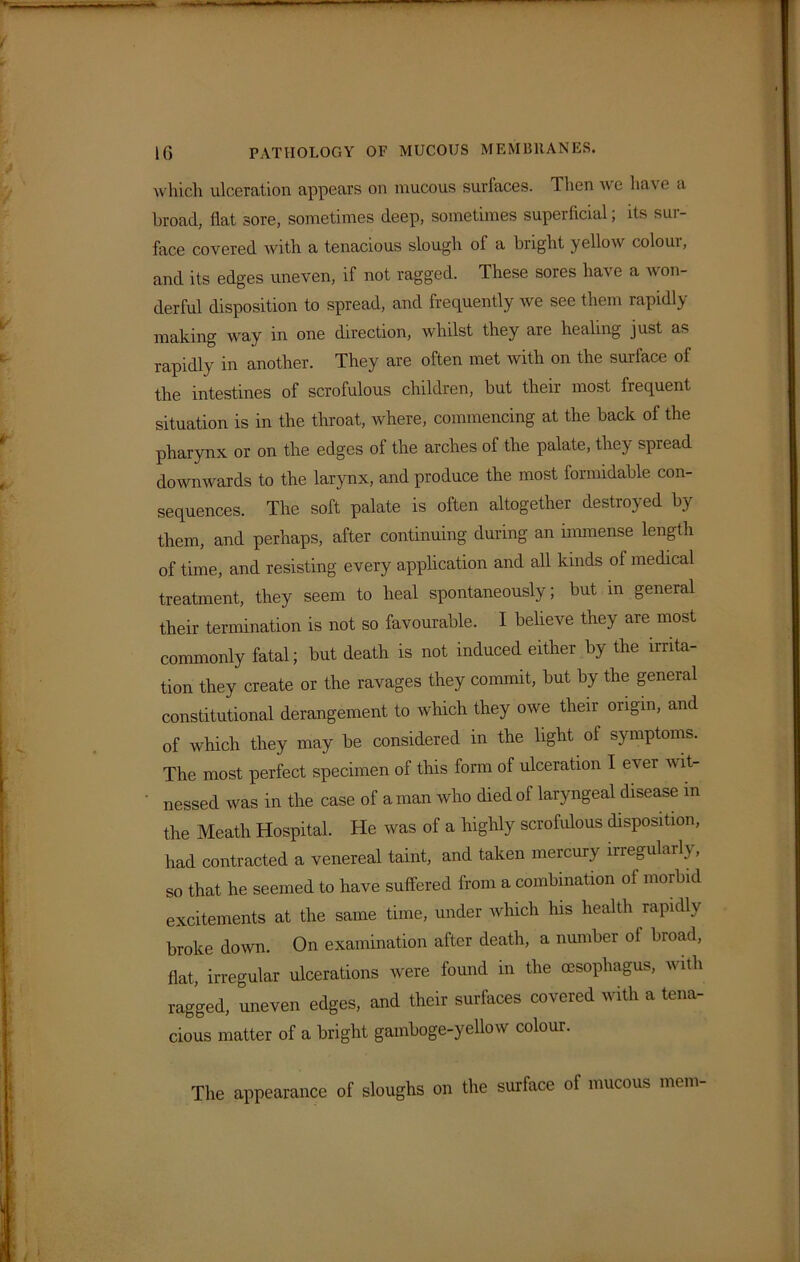 which ulceration appears on mucous surfaces. Then we have a broad, flat sore, sometimes deep, sometimes superficial; its sur- face covered with a tenacious slough of a bright yellow coloui, and its edges uneven, if not ragged. These sores have a won- derful disposition to spread, and frequently we see them rapidly- making way in one direction, whilst they are healing just as rapidly in another. They are often met with on the surface of the intestines of scrofulous children, but their most frequent situation is in the throat, where, commencing at the back of the pharynx or on the edges of the arches of the palate, they spread downwards to the larynx, and produce the most formidable con- sequences. The soft palate is often altogether destroyed by them, and perhaps, after continuing during an immense length of time, and resisting every application and all kinds of medical treatment, they seem to heal spontaneously; but in general their termination is not so favourable. I believe they are most commonly fatal; but death is not induced either by the irrita- tion they create or the ravages they commit, but by the general constitutional derangement to which they owe their origin, and of which they may be considered in the light of symptoms. The most perfect specimen of this form of ulceration I e\ er wit- nessed was in the case of a man who died of laryngeal disease m the Meath Hospital. He was of a highly scrofulous disposition, had contracted a venereal taint, and taken mercury irregularly, so that he seemed to have suffered from a combination of morbid excitements at the same time, under which his health rapidly broke down. On examination after death, a number ol broad, flat, irregular ulcerations were found in the oesophagus, with ragged, uneven edges, and their surfaces covered with a tena- cious matter of a bright gamboge-yellow colour. The appearance of sloughs on the surface of mucous mem-