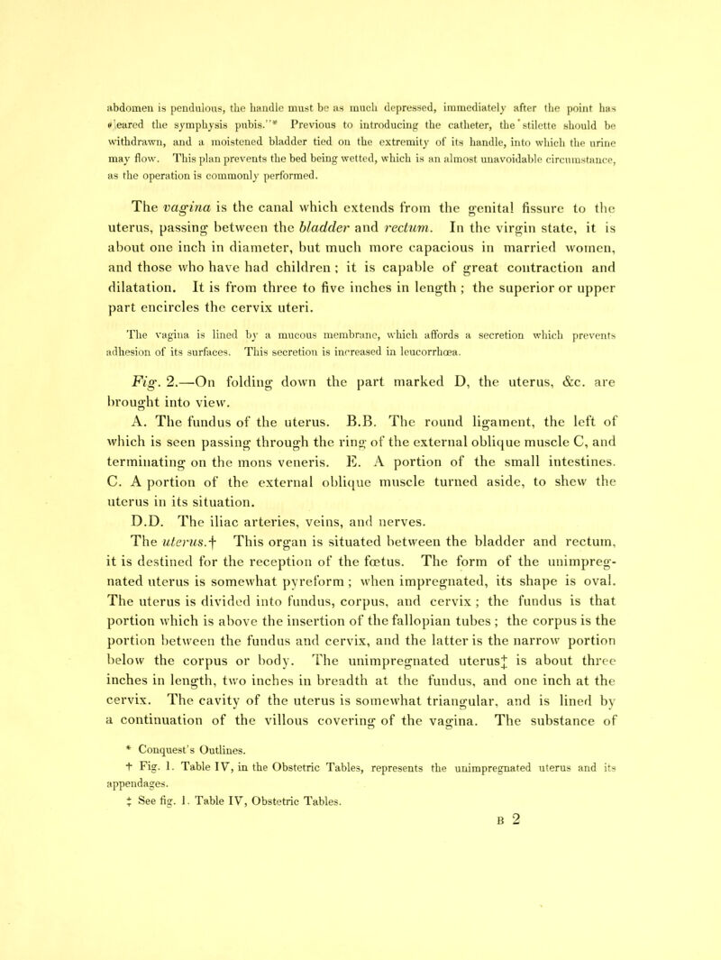 abdomen is pendulous, the handle must be as much depressed, immediately after the point has « eared the symphysis pubis.”* Previous to introducing the catheter, the’stilette should be withdrawn, and a moistened bladder tied on the extremity of its handle, into which the urine may flow. This plan prevents the bed being wetted, which is an almost unavoidable circumstance, as the operation is commonly performed. The vagina is the canal which extends from the genital fissure to the uterus, passing between the bladder and rectum. In the virgin state, it is about one inch in diameter, but much more capacious in married women, and those who have had children ; it is capable of great contraction and dilatation. It is from three to five inches in length ; the superior or upper part encircles the cervix uteri. The vagina is lined by a mucous membrane, which affords a secretion which prevents adhesion of its surfaces. This secretion is increased in leucorrhoea. Fig. 2.—On folding down the part marked D, the uterus, &c. are brought into view. A. The fundus of the uterus. B.B. The round ligament, the left of which is seen passing through the ring of the external oblique muscle C, and terminating on the mons veneris. E. A portion of the small intestines. C. A portion of the external oblique muscle turned aside, to shew the uterus in its situation. D.D. The iliac arteries, veins, and nerves. The uterus, j- This organ is situated between the bladder and rectum, it is destined for the reception of the foetus. The form of the unimpreg- nated uterus is somewhat pyreform ; when impregnated, its shape is oval. The uterus is divided into fundus, corpus, and cervix ; the fundus is that portion which is above the insertion of the fallopian tubes ; the corpus is the portion between the fundus and cervix, and the latter is the narrow portion below the corpus or body. The unimpregnated uterus! is about three inches in length, two inches in breadth at the fundus, and one inch at the cervix. The cavity of the uterus is somewhat triangular, and is lined by a continuation of the villous covering of the vagina. The substance of o o * Conquest’s Outlines. t Fig. 1. Table IV, in the Obstetric Tables, represents the unimpregnated uterus and its appendages. * See fig. 1. Table IV, Obstetric Tables.