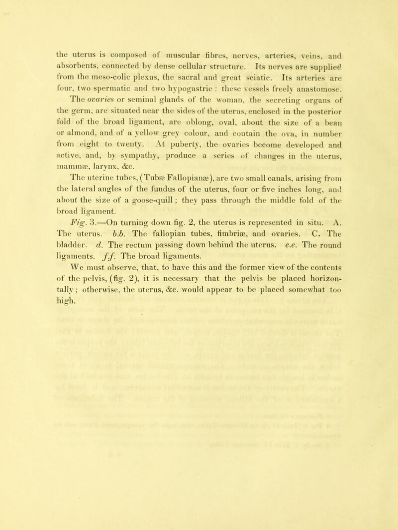 the uterus is composed of muscular fibres, nerves, arteries, veins, and absorbents, connected by dense cellular structure. Its nerves are supplied from the meso-colic plexus, the sacral and great sciatic. Its arteries are four, two spermatic and two hypogastric : these vessels freeh anastomose. The ovaries or seminal glands of the woman, the secreting organs of the germ, are situated near the sides of the uterus, enclosed in the posterior fold of the broad ligament, are oblong, oval, about the size of a bean or almond, and of a yellow grey colour, and contain the ova, in number from eight to twenty. At puberty, the ovaries become developed and active, and, by sympathy, produce a series of changes in the uterus, mammae, larynx, &c. The uterine tubes, (Tubae Fallopianae), are two small canals, arising from the lateral angles of the fundus of the uterus, four or five inches long, and about the size of a goose-quill; they pass through the middle fold of the broad ligament. Fig. 3.—On turning down fig. 2, the uterus is represented in situ. A. The uterus, b.b. The fallopian tubes, fimbriae, and ovaries. C. The bladder, d. The rectum passing down behind the uterus, e.e. The round ligaments, f.f. The broad ligaments. We must observe, that, to have this and the former view of the contents of the pelvis, (fig. 2), it is necessary that the pelvis be placed horizon- tally ; otherwise, the uterus, &c. would appear to be placed somewhat too high.