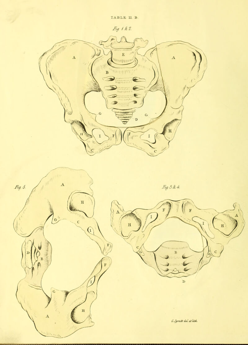 fts<J / & 2. -Fig 3 & 4-. G-. Jpntft oUL it 'Ubh