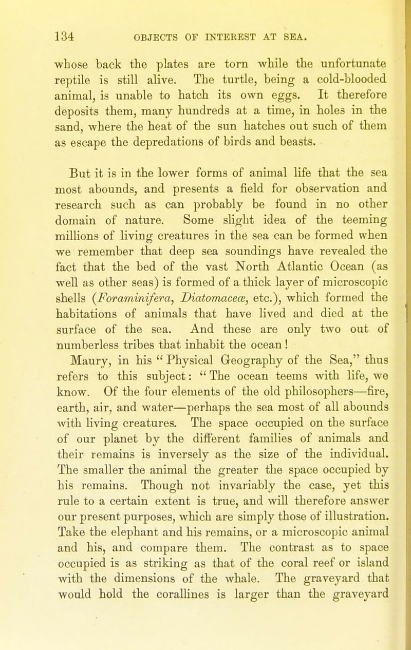 whose back the plates are torn while the unfortunate reptile is still alive. The turtle, being a cold-blooded animal, is unable to hatch its own eggs. It therefore deposits them, many hundreds at a time, in holes in the sand, where the heat of the sun hatches out such of them as escape the depredations of birds and beasts. But it is in the lower forms of animal life that the sea most abounds, and presents a field for observation and research such as can probably be found in no other domain of nature. Some slight idea of the teeming millions of living creatures in the sea can be formed when we remember that deep sea soundings have revealed the fact that the bed of the vast North Atlantic Ocean (as well as other seas) is formed of a thick layer of microscopic shells (^Foraminifera, Diatomacea;, etc.), which formed the habitations of animals that have lived and died at the surface of the sea. And these are only two out of numberless tribes that inhabit the ocean ! Maury, in his  Physical Geography of the Sea, thus refers to this subject:  The ocean teems Avith life, we know. Of the four elements of the old philosophers—fire, earth, air, and water—perhaps the sea most of all abounds with living creatures. The space occupied on the surface of our planet by the different families of animals and their remains is inversely as the size of the individual. The smaller the animal the greater the space occupied by his remains. Though not invariably the case, yet this rule to a certain extent is true, and will therefore answer our present purposes, which are simply those of illustration. Take the elephant and his remains, or a microscopic animal and his, and compare them. The contrast as to space occupied is as striking as that of the coral reef or island with the dimensions of the whale. The graveyard that would hold the corallines is larger than the graveyard