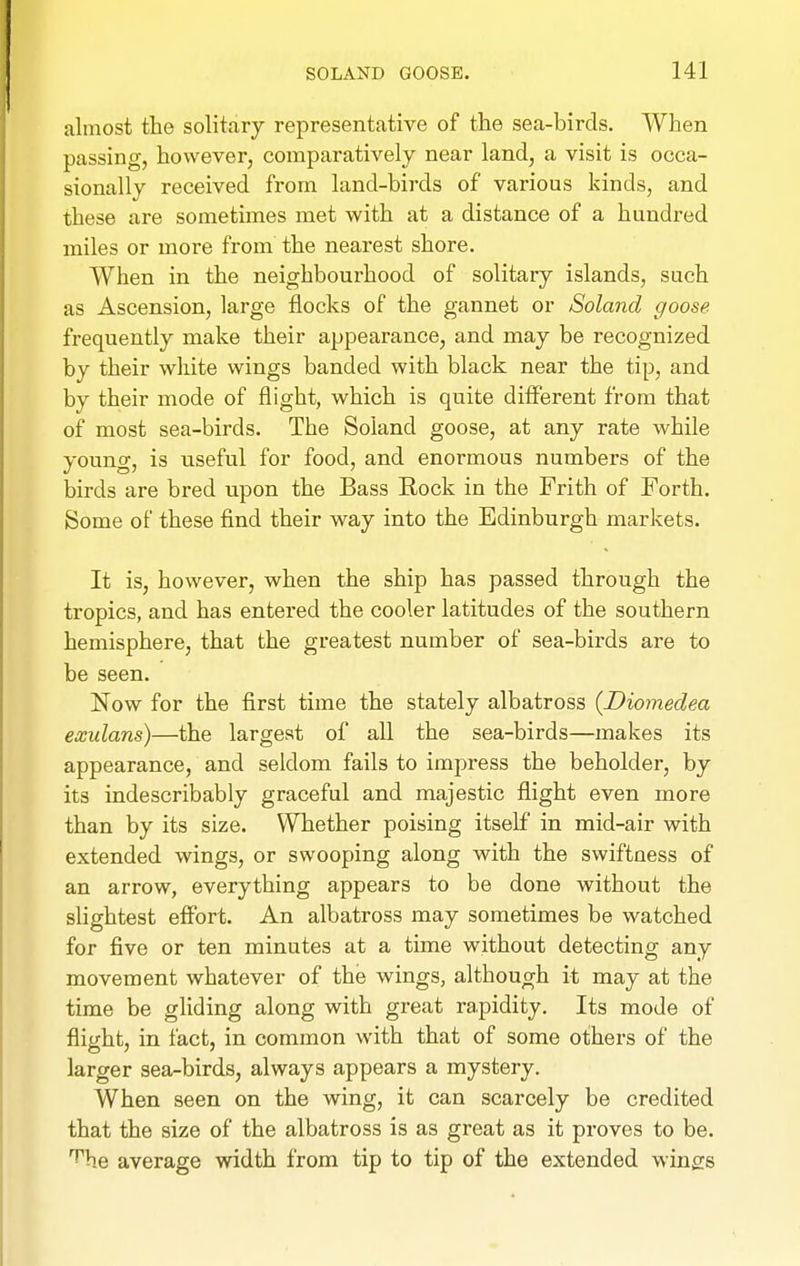 almost the solitary representative of the sea-birds. When passing, however, comparatively near land, a visit is occa- sionally received from land-birds of various kinds, and these are sometimes met with at a distance of a hundred miles or more from the nearest shore. When in the neighbourhood of solitary islands, such as Ascension, large flocks of the gannet or Soland goose frequently make their appearance, and may be recognized by their white wings banded with black near the tip, and by their mode of flight, which is quite different from that of most sea-birds. The Soland goose, at any rate while young, is useful for food, and enormous numbers of the birds are bred upon the Bass Rock in the Frith of Forth. Some of these find their way into the Edinburgh markets. It is, however, when the ship has passed through the tropics, and has entered the cooler latitudes of the southern hemisphere, that the greatest number of sea-birds are to be seen. Now for the first time the stately albatross {Diomedea exulans)—the largest of all the sea-birds—makes its appearance, and seldom fails to impress the beholder, by its indescribably graceful and majestic fiight even more than by its size. Whether poising itself in mid-air with extended wings, or swooping along with the swiftness of an arrow, everything appears to be done without the slightest eff'ort. An albatross may sometimes be watched for five or ten minutes at a time without detecting any movement whatever of the wings, although it may at the time be gliding along with great rapidity. Its mode of flight, in fact, in common with that of some others of the larger sea-birds, always appears a mystery. When seen on the wing, it can scarcely be credited that the size of the albatross is as great as it proves to be. T'he average width from tip to tip of the extended wins:s