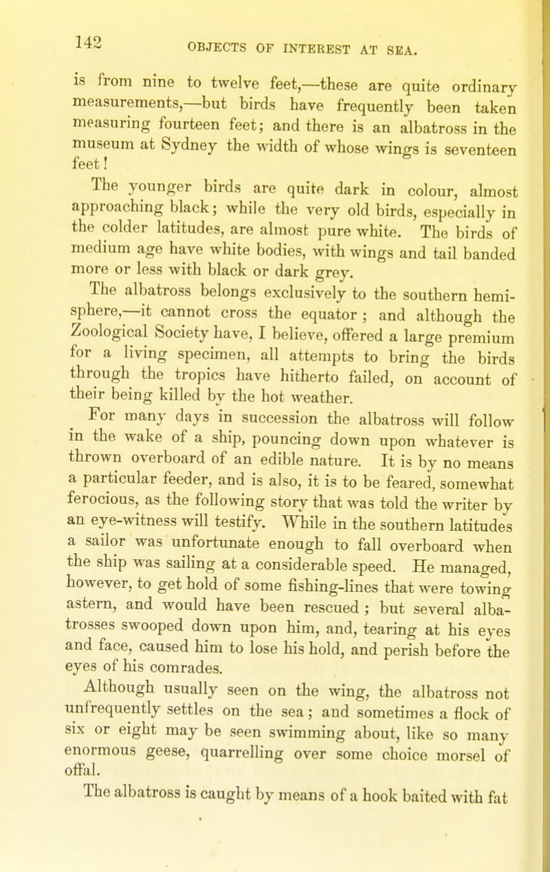 is from nine to twelve feet—these are quite ordinary measurements,—but birds have frequently been taken measuring fourteen feet; and there is an albatross in the museum at Sydney the width of whose wings is seventeen feet! The younger birds are quite dark in colour, almost approaching black; while the very old birds, especially in the colder latitudes, are almost pure white. The birds of medium age have white bodies, with wings and tail banded more or less with black or dark grey. The albatross belongs exclusively to the southern hemi- sphere,—it cannot cross the equator ; and although the Zoological Society have, I believe, offered a large premium for a living specunen, all attempts to bring the birds through the tropics have hitherto failed, on account of their being killed by the hot weather. For many days in succession the albatross will follow in the wake of a ship, pouncing down upon whatever is thrown overboard of an edible nature. It is by no means a particular feeder, and is also, it is to be feared, somewhat ferocious, as the following story that was told the writer by an eye-witness will testify. While in the southern latitudes a sailor was unfortunate enough to fall overboard when the ship was sailing at a considerable speed. He managed, however, to get hold of some fishing-lines that were towing astern, and would have been rescued; but several alba- trosses swooped down upon him, and, tearing at his eyes and face, caused him to lose his hold, and perish before the eyes of his comrades. Although usually seen on the wing, the albatross not unfrequently settles on the sea; and sometimes a flock of six or eight may be seen swimming about, like so many enormous geese, quarrelling over some choice morsel of offal. The albatross is caught by means of a hook baited with fat