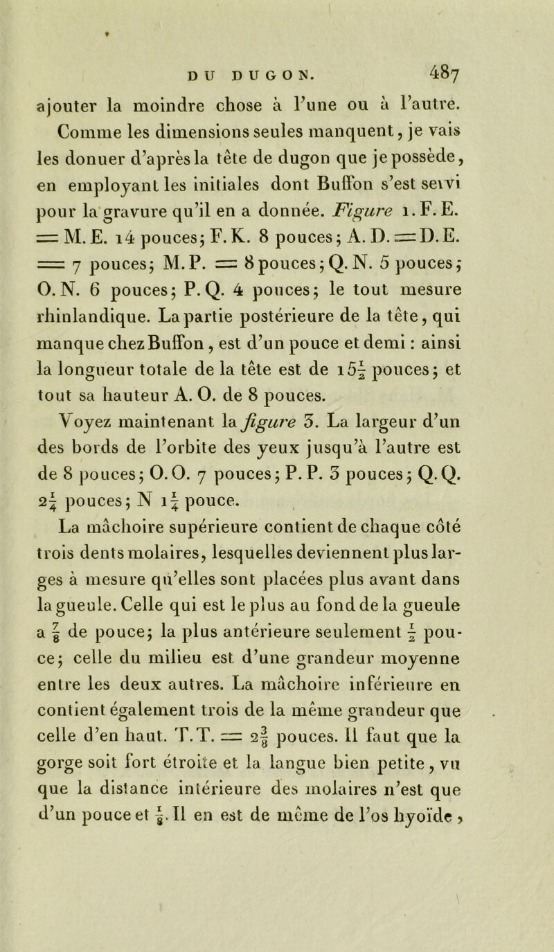 ajouter la moindre chose a Tune ou a l’autre. Comme les dimensions seules manquent, je vais les donuer d’apresla tete de dugon que jepossede, en employant les initiates dont Bullon s’est seivi pour la gravure qu’il en a donnee. Figure 1. F. E. = M. E. i4 pouces; F. K. 8 pouces; A. D. = D.E. = 7 pouces; M.P. = 8 pouces ;Q.N. 5 pouces; 0.N. 6 pouces; P.Q. 4 pouces; le tout mesure rhinlandique. Lapartie posterieure de la tete, qui manque chezBuffon, est d un pouce etdemi: ainsi la longueur totale de la tete est de i5~ pouces; et tout sa hauteur A. 0. de 8 pouces. \ oyez maintenant la figure 5. La largeur d’un des bords de Porbite des yeux jusqu’a l’autre est de 8 pouces; 0.0. 7 pouces; P.P. 3 pouces; Q.Q. 2| pouces; N \ \ pouce. La machoire superieure contient de chaque cote trois dents molaires, lesquelles deviennent plus lar- ges a mesure qu’elles sont placees plus avant dans la gueule. Celle qui est le plus au fond de la gueule a | de pouce; la plus anterieure seulement \ pou- ce; celle du milieu est d’une grandeur moyenne entre les deux autres. La machoire inferieure en contient egalement trois de la meme grandeur que celle d’en haut. T.T. — 2§ pouces. 11 faut que la gorge soit fort etroite et la langue bien petite, vu que la distance interieure des molaires 11’est que d’un pouce et * . II en est de meme de l’os hyoi’de >