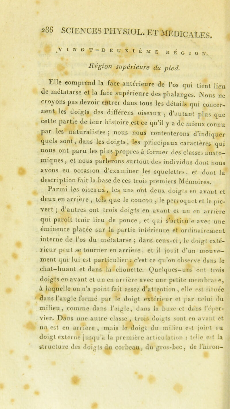 I N G T - D E U X I i M E R É G I O IV. Région supérieure du pied. Elle comprend la face antérieure de l’os qui tient lieu de métatarse et la face supérieure des phalanges. Nous ne croyons pas devoir entrer dans tous les détails qui concer- nent les doigts des diftérens oiseaux , d’autant plus que cette partie de leur histoire est ce qu’il y a de mieux connu par les naturalistes ) nous nous contenterons d’indiquer quels sont, dans les doigts, les principaux caractères qui nous ont paru les plus propres à former des classe^ anato- miques , et nous parlerons surtout des individus dont nous avons eu occasion d’examiner les squelettes, et dont la description fait la base de ces trois premieis Mémoires. Parmi les oiseaux, les uns ont deux doigts en avant et deux en arrière , tels que le coucou , le perroquet et le pic- vei t, d autres ont trois doigts en avant eî un en arrière qui paroît tenir lieu de pouce, et qui s'.articule avec une éminence placée sur la partie inférieure et ordinairement interne de l’os du métatarse j dans ceux-ci, le doigt exté- rieur peut se tourner en arrière. et il jouit d’un mouve- ment qui lui est particulier : c’est ce qu’on observe dans le chat—huant et dans la chouette. Quelques-uns ont trois doigts en avant et un en an ière avec une petite menihra' e, à laquelle ou n’a point fait assez, d’attention , elle est ‘ituée ^ dans l’angle formé par le doigt ext(h'i» nr et par celui du milieu, comme dans l’aigle, dans la bu/e et dans l’éper- vier. Dans une autre classe , trois doigts sont en avant et un est en arnère , mais le doigi du milieu C'I joint ;'U doigt extei nC jusqn’a la première articulation : telle e>l la structure des doigts du corbeau, du gros-bec, de l’hiron-