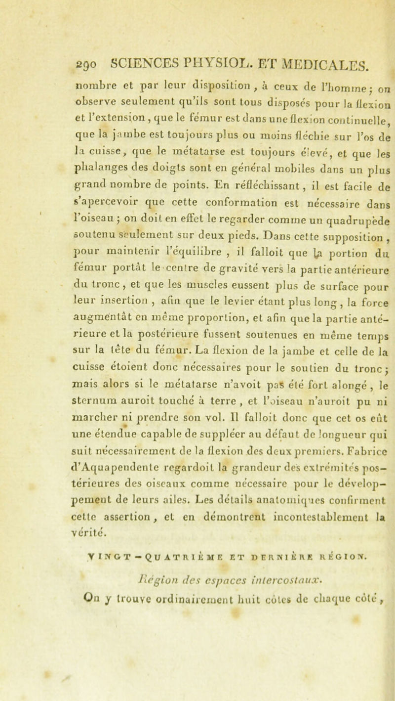 nombre et par leur disposition, à ceux de l’Iiominej on observe seulement qu’ils sont tous disposés pour la flexion et l’extension , que le fémur est dans une flexion continuelle, que la jambe est toujours plus ou moins flécliie sur l’os de la cuisse, que le métatarse est toujours élevé, et que les phalanges des doigts sont en général mobiles dans un plus grand nombre de points. En réfléchissant, il est facile de s’apercevoir que cette conformation est nécessaire dans l’oiseau ■ on doit en effet le regarder comme un quadrupède soutenu seulement sur deux pieds. Dans cette supposition , pour maintenir l’équilibre , il falloit que j/i portion du fémur portât le centre de gravité vers la partie antérieure du tronc, et que les muscles eussent plus de surface pour leur insertion , afin que le levier étant plus long , la force augmentât en même proportion, et afin que la partie anté- rieure et la postérieure fussent soutenues en même temps sur la tête du fémur. La flexion de la jambe et celle de la cuisse éloient donc nécessaires pour le soutien du troncj mais alors si le métatarse n’avoit pas été fort alongé , le sternum auroit touché à terre , et l’oiseau n’auroit pu ni marcher ni prendre son vol. Il falloit donc que cet os eût une étendue capable de suppléer au défaut de longueur qui suit nécessairement de la flexion des deux premiers. Fabrice d’Aquapendente regardoit la grandeur des extrémités pos- térieures des oiseaux comme nécessaire pour le dévelop- pement de leurs ailes. Les détails anatomiques confirment cette assertion, et en démontrent incontestablement la vérité. vingt-quatrième et dernière région. llcgion des espaces inlercostaux. Ou y trouve ordinairement huit côtes de chaque côté,