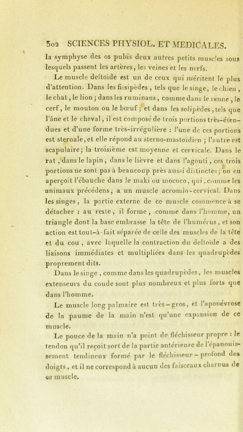 la symphyse des os pubis deux autres petits muscles sou» lesquels passent les artères, les veines et les nerfs. Le muscle deltoïde est un de ceux qui me'ritent le plus d’attention. Dans les fiisipèdes , tels que le singe, le chien , le chat, le lion j dans les ruminans , comme dans le renne , le cerf, le mouton ou le bœuf 3 et dans les solipèdes , tels que l’àne et le cheval, il est compose' de I rois portions très-élen- dues et d’une forme très-irre'gulière : l’une de ces portions est sternale,et elle répond au sterno-mastoidicn j l’autre est scapulaire^ la troisième est moyenne et cervicale. Dans le rat , dans le lapin , dans le lièvre et dans l’agouti , ces trois portions ne sont pas .à beaucoup près aussi diitincles j bn eu aperçoit l’ébauche dans le maki ou mococo, qui, comme les animaux précédens, a un muscle acromio - cervical. Dans les singes , la partie externe de ce muscle commence à se détacher : au reste , il forme , comme dans l’homme, un triangle dont la base embrasse la tête de l’humérus, et son action est tout-à-fait séparée de celle des muscles de la tête et du cou , avec laquelle la contraction du deltoïde a des liaisons immédiates et multipliées dans les quadrupèdes proprement dits. Dans le singe , comme dans les quadrupèdes, les muscles extenseurs du coude sont plus nombreux et plus lorts que dans l’homme. Le muscle long palmaire est très —gros, et l’aponévrose de la paume de la main n’est qu’une expansion de ce muscle. Le pouce de la main n’a point de fléchis.seur propre : le tendon fpi’il reçoit sort do la partie anterieure de 1 épanouis- sement tendineux formé par le fléchisseur - prolond des doigts, et il ne correspond à aucun des faisceaux charnus de UC muscle.
