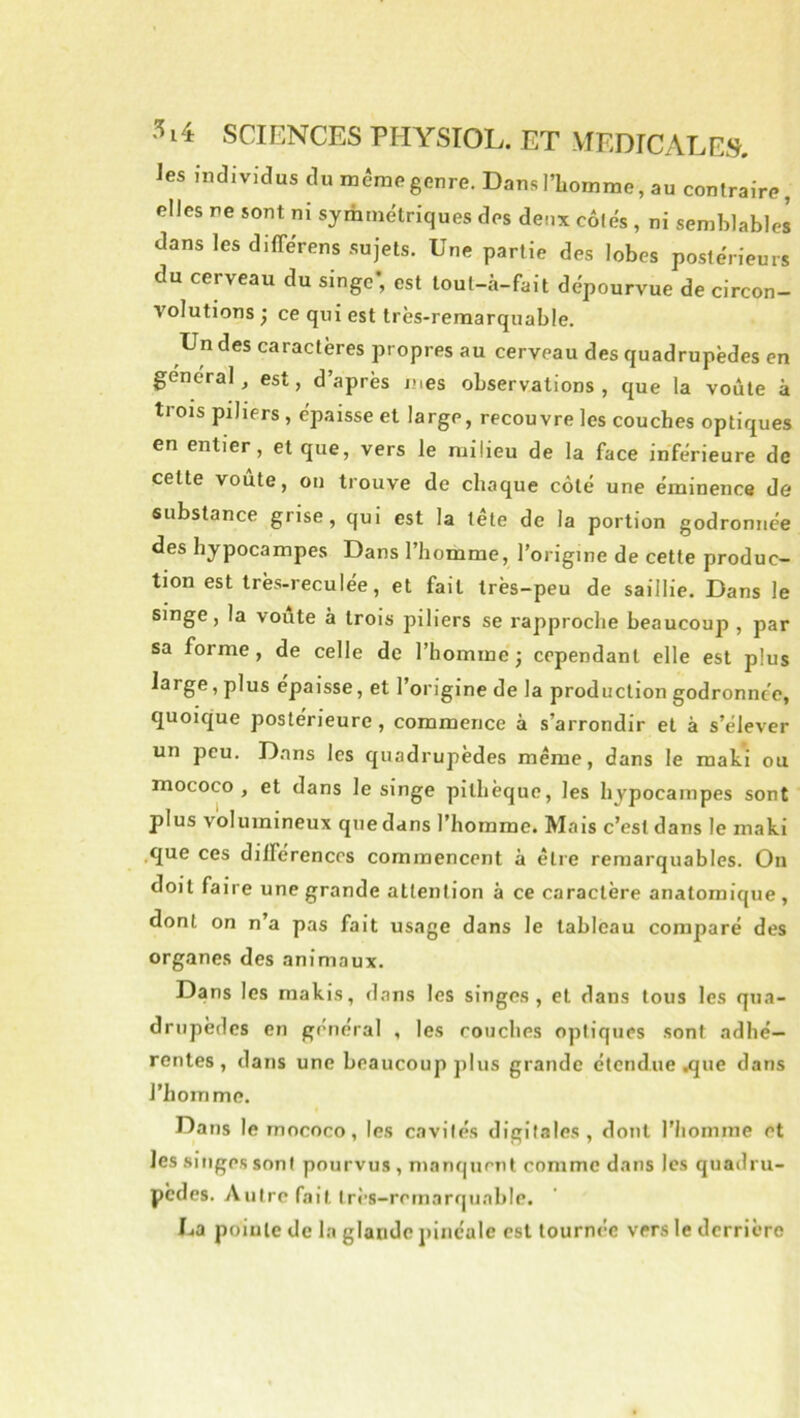 les individus du même genre. Dans l’homme, au contraire, elles ne sont ni syrhmétriques des deux côtés , ni semblables dans les dilTérens sujets. Une partie des lobes postérieurs du cerveau du singe*, est toul-à-fait dépourvue de circon- volutions j ce qui est très-remarquable. Un des caractères propres au cerveau des quadrupèdes en general, est, d après jnes observations, que la voûte à trois piliers, épaisse et large, recouvre les couches optiques en entier, et que, vers le milieu de la face inférieure de celte voûte, ou trouve de chaque côté une éminence de substance grise, qui est la tête de la portion godronnée des hjpocampes Dans l’homme, l’origine de cette produc- tion est très-reculée, et fait très-peu de saillie. Dans le singe, la voûte à trois piliers se rapproche beaucoup , par sa forme, de celle de l’homme ; cependant elle est plus large, plus épaisse, et l’origine de la production godronnée, quoique postérieure, commence à s’arrondir et à s’élever un peu. Dans les quadrupèdes même, dans le mati ou mococo , et dans le singe pilhèque, les hjpocampes sont plus volumineux que dans l’homme. Mais c’est dans le maki .que ces dilferencos commencent à être remarquables. On doit faire une grande attention à ce caractère anatomique , dont on n’a pas fait usage dans le tableau comparé des organes des animaux. Dans les makis, dans les singes, et dans tous les qua- drupèdes en général , les couches optiques sont adhé- rentes, dans une beaucoup plus grande étendue .que dans l’homme. Dans le mococo, les cavités digitales, dont l’homme et les singes sont pourvus , manquent comme dans les quadru- pèdes. Autre fait très-remarquable. Ua poiule de la glande pinc'ale est tournée vers le derrière