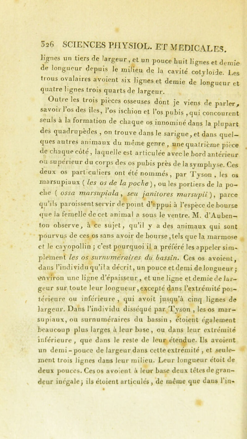 lignes un tiers de largeur, et un pouce Luit lignes et demie de longueur depuis le milieu de la cavilë cotyloïde. Les flous ovalaires avoient six lignes et demie de longueur et <^ufltr6 trois Cjuarts de Isr^eur, Outre les trois pièces osseuses dont je viens de parler, savoii 1 os des îles, l’os ischion et l’os pubis , qui concourent seuls à la formation de chaque os innominédans la plupart des quadrupèdes , on trouve dans le sarigue, et dans quel- ques auties animaux du meme genre , une quatrième pièce de chaque côté , laquelle est articulée avec le bord antérieur ou supérieur du corps des os pubis près de la symphyse. Ces deux os part culiers ont été nommés, par Tyson , les os marsupiaux ( les os de la poche ), ou les portiers de la po- ché ( ossa marsiipiala , seii janiiores marsopii'), parce qu’ils paroissent servir de point d’appui à l’espèce de bourse <jue la femelle de cet animal a sous le ventre. M. d’Auben- ton observe, à ce sujet, qu’il y a des animaux qui sont pourvus de ces os sans avoir de bourse , tels que la marmose cl le cayopollin -, c’est pourquoi il a préféré les appeler sim- plement les os surnuméraires du bassin. Ces os avoient, dans l’individu qu’il a décrit, un pouce et demi de longueur; v>nviron une ligne d’épaisseur , et une ligne et demie de lar- geur sur toute leur longueur,excepté dans l’extrémité pos- térieure ou inférieure , qui avoit jusqu’à cinq lignes de largeur. Dans l’individu disséqué par Tyson , les os mar- supiaux, ou surnuméraires du bassin, étoieiit également beaucoup plus larges à leur base , ou dans leur extrémité inférieure, que dans le reste de leur étendue. Ils avoient un demi-pouce de largeur dans cette extrémité , et seule- ment trois lignes dans leur milieu. Leur longueur éloit de deux jiouccs. Ces os avoient à leur base deux têtes de gran- deur inégale; ils étoient articulés, de même que dans l’in-