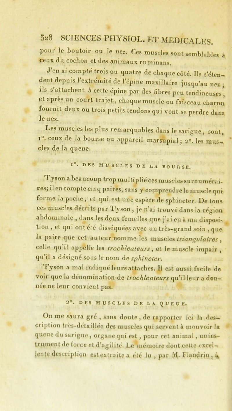 pour le boutoir ou le nez. Ces muscles sont semblables i çeux du cochon et des animaux ruminans. J’en ai compté trois ou quatre de chaque côté. Ils s’éten^. dent depuis l’extrémité de l’épine maxillaire jusqu’au nez j lis s’attachent à celle épine p.ar des fibres peu tendineuses' et après un court trajet, chaque muscle ou faisceau charnu fournit deux ou trois petits tendons qui vont se perdre dans Je nez. Les muscles les plus remarquables dans le sarigue, sont, 1°. ceux de la bourse ou appareil marsupial; 2°. les mus- cles de la queue. l”. DES MUSCLES DE LA BOURSE. Tyson a beaucoup trop inultipliéces muscles surnumérai- res; il en compte cinq paires, sans y comprendrele musclequi forme la poche , et qui est une espèce de sphincter. De Ions ces musc’es décrits par Py.son , je n’ai trouvé dans la région abdominale , dans les deux femelles que j’ai eu à ma disposi- tion , et qui ont été disséquées avec un très-grand soin , que la paire que cet auteur nomme les muscles triangnlaires, celle qu il appelle les Irochlealeurs, et le muscle iiupair , qu’il a désigné sous le nom àe sphincter. Tyson a mal indique leurs attaches. 11 est aussi facile de voir que la dénomination de trochlealeurs qu’il leur a don- née ne leur convient pas. 2». DES MUSCLES DE LA QUEUE. On me saura gré , sans doute, de rapporlcr ici la des— ci iplion très-delailléc des muscles qui servent à mouvoir la queue du sarigue , organe qui est, pour cet animal, un ins- trument de lorce et d’agilité. Le iiiémoire dont celle txcel— Jentc dc3cripli9n cstcxliailca élc lu , par M. Flandrin ,