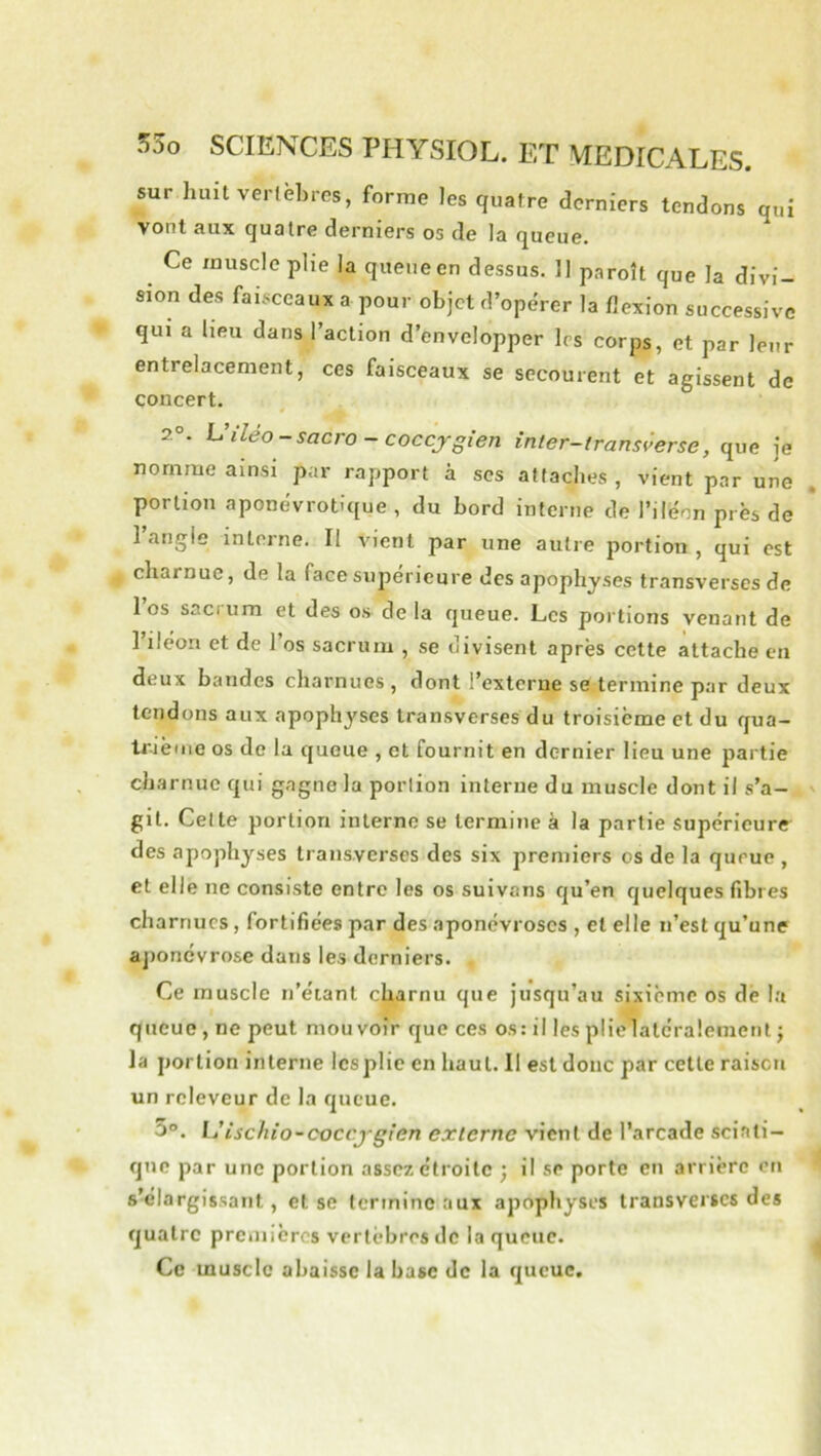 sur huitverlèhrcs, forme les quatre derniers tendons qui vont aux quatre derniers os de la queue. Ce muscle plie la queue en dessus. 11 paroît que la divi- sion des faisceaux a pour objet d’opérer la flexion successive qui a lieu dans l’action d’envelopper les corps, et par leur entrelacement, ces faisceaux se secourent et agissent de concert. 2°. Uiléo-sacro-coccjgien inter-transverse, que je nomme ainsi par rapport à scs attaches, vient par une portion aponévrotique , du bord interne de l’ileon près de l’angie interne. Il vient par une autre portion , qui est charnue, de la face supérieure des apophyses transverscs de 1 os sacium et des os de la queue. Les poi tions venant de l’iléon et de l’os sacrum , se divisent après cette attache en deux bandes charnues , dont l’externe se termine par deux tendons aux apophyses transverses du troisième et du qua- trième os de la queue , et fournit en dernier lieu une partie charnue qui gagne la portion interne du muscle dont il s’a- git. Celte portion inlerno se termine à la partie Supérieure des apophyses traiisvcrses des six premiers os de la queue , et elle ne consiste entre les os suivans qu’en quelques fibres charnues, fortifiées par des aponévroses , et elle n’est qu’une ajionevrose dans les derniers. Ce muscle n’éiant charnu que jusqu’au sixième os dé la queue, ne peut mouvoir que ces os: il les plielatéralement ; la portion interne Icsplie en haut. II est donc par cette raison un rcleveur de la queue. 5°. Uischio-coccj'gien externe vient de l’arcade sciati- que par une portion assez étroite ; il se porte en arrière on s’élargissant, et se termine aux apophyses transverscs des quatre prcniièrcs vertèbres de la queue. Ce muscle abaisse la hase de la queue.