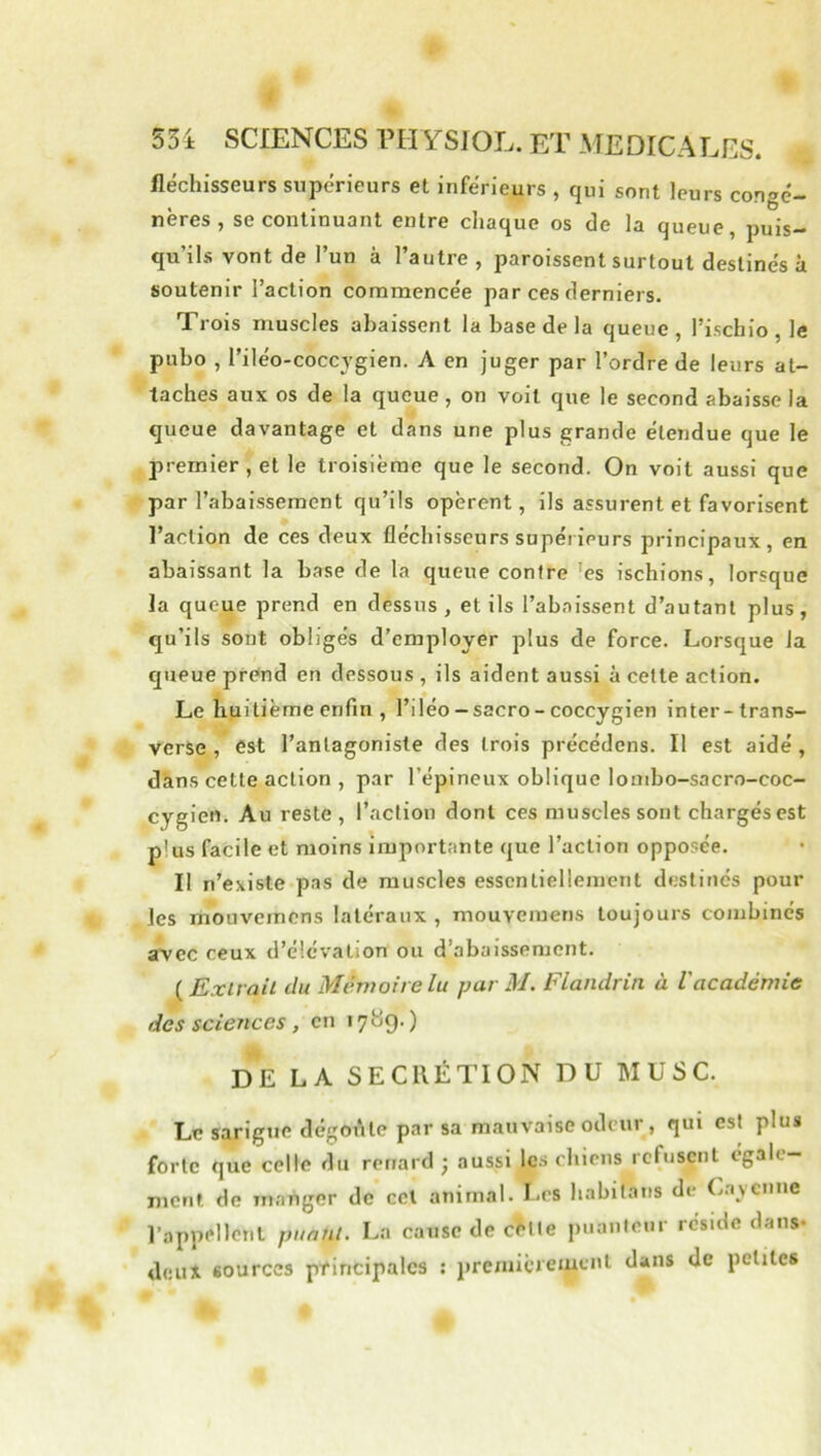 fléchisseurs supérieurs et inférieurs , qui sont leurs congé- nères , se continuant entre chaque os de la queue, puis- qu’ils vont de l’un à l’autre , paroissent surtout destinés à soutenir l’action commencée par ces derniers. Trois muscles abaissent la base de la queue , l’ischio , le pubo , l’iléo-coccjgien. A en juger par l’ordre de leurs at- taches aux os de la queue , on voit que le second abaisse la queue davantage et dans une plus grande étendue que le premier, et le troisième que le second. On voit aussi que par l’abaissement qu’ils opèrent, ils assurent et favorisent l’action de ces deux fléchisseurs supérieurs principaux, en abaissant la base de la queue contre 'es ischions, lorsque la queue prend en dessus, et ils l’abaissent d’autant plus, qu’ils sont obligés d’employer plus de force. Lorsque la queue prend en dessous , ils aident aussi à cette action. Le huitième enfin , l’iléo-sacro-coccygien inter-trans- vcrse , est l’antagoniste des trois précédons. Il est aidé, dans cette action , par l’épineux oblique lonibo-sacro-coc- cygien. Au reste, l’action dont ces muscles sont chargés est plus facile et moins importante que l’action opposée. Il n’existe pas de muscles essentiellement destinés pour les mouvcmens latéraux , mouvemens toujours combinés avec ceux d’élévation ou d’abaissement. ( Extrait du Mémoire lu par M. Flandrin à l'académie des sciences , en lybg-) DE LA SECRÉTION DU MUSC. Le sarigue dégoAte par sa mauvaise odeur, qui est plus forte que celle du renard j aussi les chiens refusent égale- ment de manger de ccl animal. Les babitans de (.ayenne l’appellent puant. La cause de cèlle piianlcur réside dans* deux sources principales : premicrement dans de petites