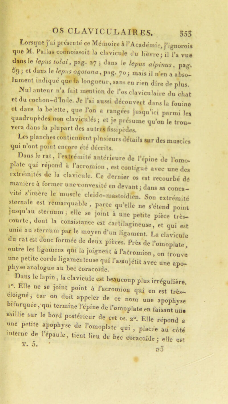 Lorsque j’ai présenté ce Mémoire à l’Académie, j’ignorois que M. Pallas coiinoissoit la clavicule du lièvre - il l’a vue dans le lepus tolai. pag. 27 ; dans le lepus alpinus, pag. 5g ; et dans le lepus ogotona, p *g. 70 ^ mais il n>n a abso- lument indiqué que la longueur, sans en rien dire de plus. Nul auteur n’a tait mention de l’os claviculaire du chat rtdu cochon-d’Inde. Je l’ai aussi découvert dans la fouine et dans la be’elte, que l’on a rangées jusqu’ici parmi les quadrupèdes non claviculés; et je présume qu’on le trou- vera dans la plupart des autres fissipcdes. Les planches contiennent plusieurs détails sur des muscles qui n’ont point encore été décrits. Dans le rat, I extrémité antérieure de l’épine de l’omo- plate qui répond à l’acroniion , est contiguë avec une des extrémités de la clavicule. Ce dernier os est recourbé dû manière à former uneTonvexité en devant ; dans sa conca- vité s’insère le muscle cleido-mastoïdién. Son extrémité sternale est remarquable, parce qu’elle ne s’étend point jusqu au sternum; elle se joint à une petite pièce très- courte, dont la consistance est cartilagineuse, et qui est unie au sternum par le moven d’un ligament. La clavicule du rat est donc formée de deux pièces. Près de l’omoplate outre les ligamens qui la joignent à l’acromion, on trouvé «ne petite corde ligamenteuse qui l’assujétit avec une apo- physe analogue au bec coracoïde. ^ Dans le lapin , la clavienle esl beaucoup plus irrfRuIiére .•■ Elle ne se j„i„. p„,„. à IVcomlon en es. ,1- eloigne; car ou do.t appeler de ce nom une apophyse b. urquee , ,u. termine l’épine de l’.mopla.e en fa.sau. un. .a.ll,e sur le bord postérieur de ce. os. a». Elle répond â une p,.t,,e apophj-se de l’omopiate ,ui , placée au côté ■ nterne de 1 épaulé, tient lio„ de bec cracoîde; elle est