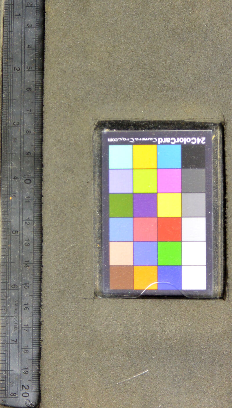 No text description is available for this image