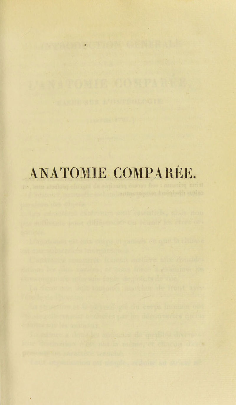 ANATOMIE COMPARES.