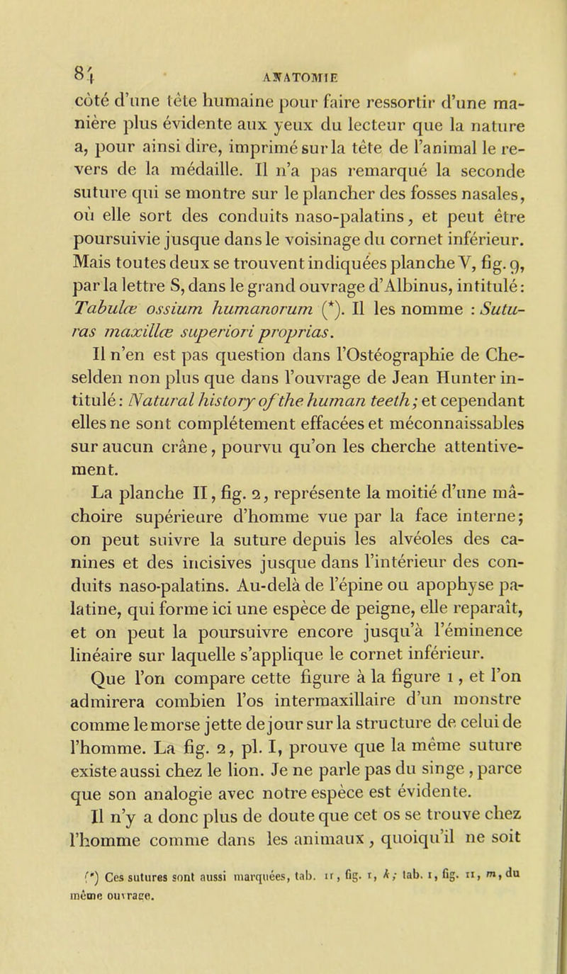 8i cote cl’line tete humaine pour faire ressortir d’une ma- niere plus evidente aux yeux du lecteur que la nature a, pour ainsi dire, imprime sur la tete de l’animal le re- fers de la medaille. II n’a pas remarque la seconde suture qui se montre sur le plancher des fosses nasales, on elle sort des conduits naso-palatins, et peut etre poursuivie jusque dans le voisinage du cornet inferieur. Mais toutes deux se trouvent indiquees plancheY, fig. 9, par la lettre S, dans le grand ouvrage d’Albinus, intitule: Tabula; ossium humanorum (*). II les nomme : Sutu- ras maxillce superiori proprias. II n’en est pas question dans l’Osteographie de Che- selden non plus que dans l’ouvrage de Jean Hunter in- titule : Natural history of the human teeth; et cependant ellesne sont completement effaceeset meconnaissables sur aucun crane, pourvu qu’on les chercbe attentive- men t. La planche II, fig. 2, represente la moitie d’une 111a- choire superieure d’homme vue par la face interne; on peut suivre la suture depuis les alveoles des ca- nines et des incisives jusque dans l’interieur des con- duits naso-palatins. Au-dela de l’epine on apophyse pa- latine, qui forme ici une espece de peigne, elle reparait, et on peut la poursuivre encore jusqu’a l’eminence lineaire sur laquelle s’applique le cornet inferieur. Que l’on compare cette figure a la figure 1, et Ton admirera combien l’os intermaxillaire d’un monstre comme le morse jette de jour sur la structure de celui de l’homme. La fig. 2, pi. I, prouve que la meme suture existeaussi chez le lion. Je ne parle pas du singe , parce que son analogie avec notre espece est evidente. II n’y a done plus de doute que cet os se trouve chez 1’homme comme dans les animaux, quoiqu’il ne soit f') Ces sutures sont aussi marquees, tab. ir, fig. t, h; tab. i, fig. n, w, du meme ouvrage.