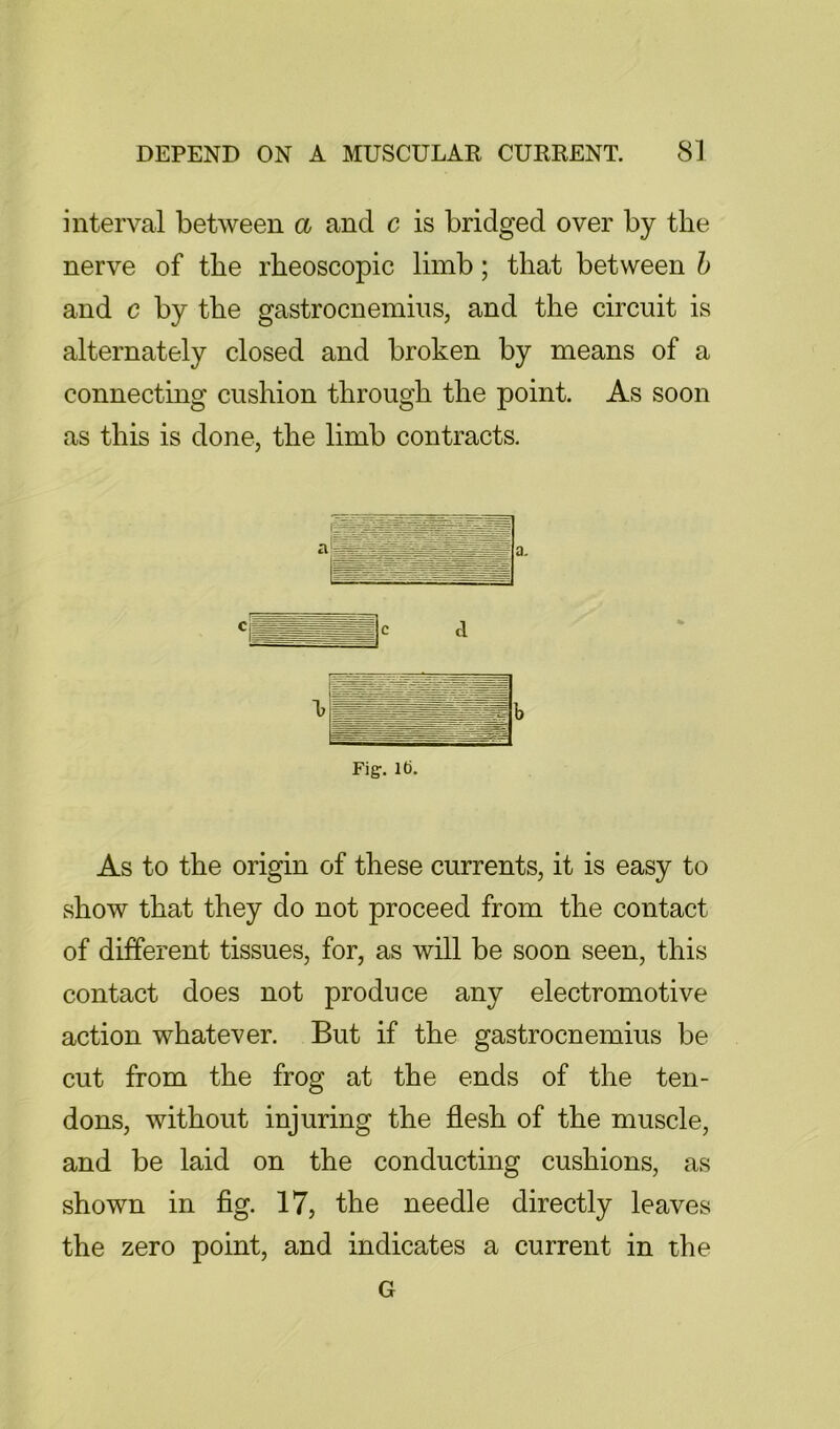 interval between a and c is bridged over by the nerve of the rheoscopic limb; that between h and c by the gastrocnemius, and the circuit is alternately closed and broken by means of a connecting cushion through the point. As soon as this is done, the limb contracts. Fig. Id. As to the origin of these currents, it is easy to show that they do not proceed from the contact of different tissues, for, as will be soon seen, this contact does not produce any electromotive action whatever. But if the gastrocnemius be cut from the frog at the ends of the ten- dons, without injuring the flesh of the muscle, and be laid on the conducting cushions, as shown in fig. 17, the needle directly leaves the zero point, and indicates a current in the G