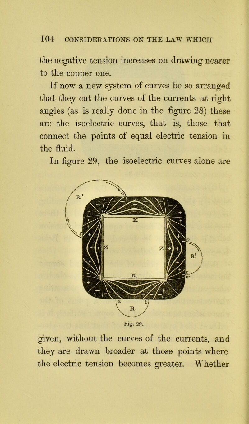 the negative tension increases on drawing nearer to the copper one. If now a new system of curves be so arranged that they cut the curves of the currents at right angles (as is really done in the figure 28) these are the isoelectric curves, that is, those that connect the points of equal electric tension in the fluid. In figure 29, the isoelectric curves alone are Fig. 29. given, without the curves of the currents, and they are drawn broader at those points where the electric tension becomes greater. Whether