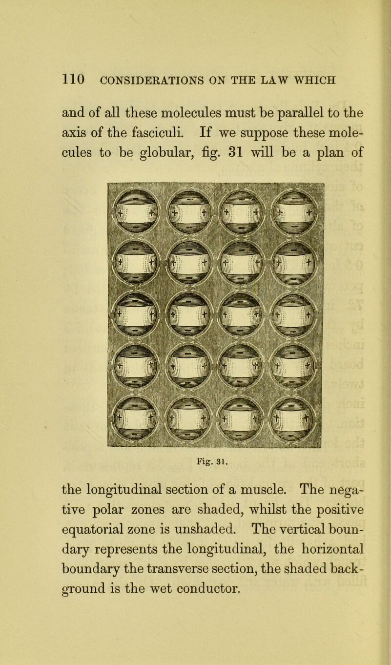 and of all these molecules must be parallel to the axis of the fasciculi. If we suppose these mole- cules to be globular, fig. 31 will be a plan of Fig. 31, the longitudinal section of a muscle. The nega- tive polar zones are shaded, whilst the positive equatorial zone is unshaded. The vertical boun- dary represents the longitudinal, the horizontal boundary the transverse section, the shaded back- ground is the wet conductor.