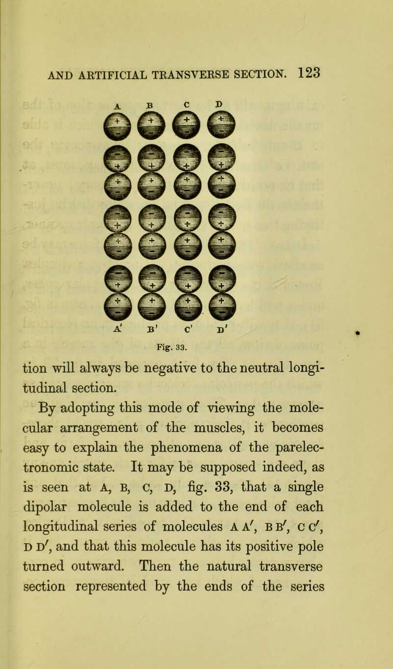 a’ b’ c’ d’ Fig. 33, tion will always be negative to the neutral longi- tudinal section. By adopting this mode of viewing the mole- cular arrangement of the muscles, it becomes easy to explain the phenomena of the parelec- tronomic state. It may be supposed indeed, as is seen at A, B, c, D, fig. 33, that a single dipolar molecule is added to the end of each longitudinal series of molecules A A', B b', c c', D d', and that this molecule has its positive pole turned outward. Then the natural transverse section represented by the ends of the series