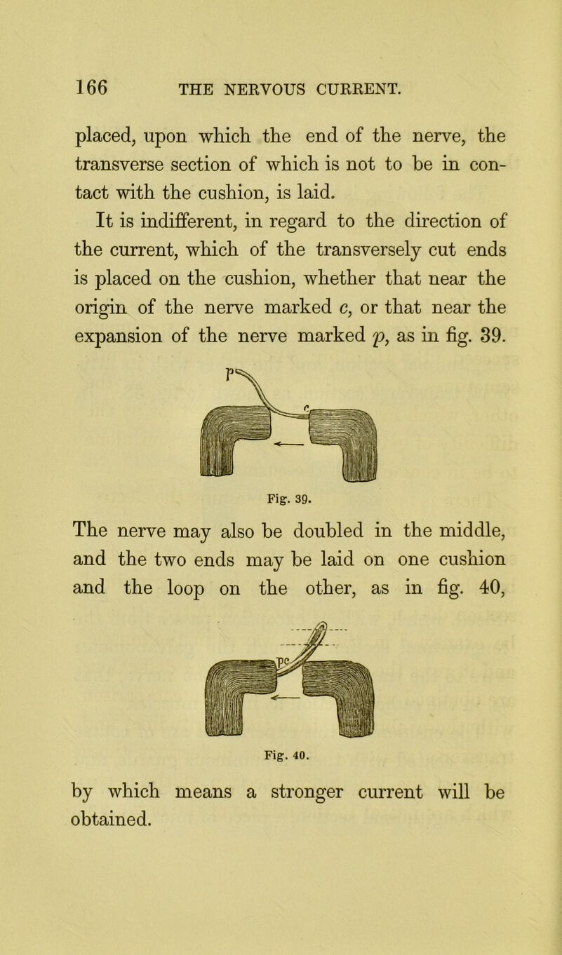 placed, upon whicii the end of the nerve, the transverse section of which is not to be in con- tact with the cushion, is laid. It is indifferent, in regard to the direction of the current, which of the transversely cut ends is placed on the cushion, whether that near the origin of the nerve marked c, or that near the expansion of the nerve marked p, as in fig. 39. Fig. 39. The nerve may also be doubled in the middle, and the two ends may be laid on one cushion and the loop on the other, as in fig. 40, Fig. 40. by which means a stronger current will be obtained.