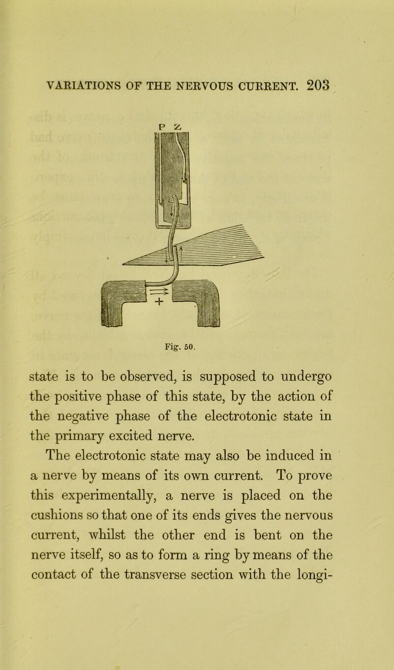 p z. Fig. 50. state is to be observed, is supposed to undergo the positive phase of this state, by the action of the negative phase of the electrotonic state in the primar}^ excited nerve. The electrotonic state may also be induced in a nerve by means of its own current. To prove this experimentally, a nerve is placed on the cushions so that one of its ends gives the nervous current, whilst the other end is bent on the nerve itself, so as to form a ring by means of the contact of the transverse section with the longi-