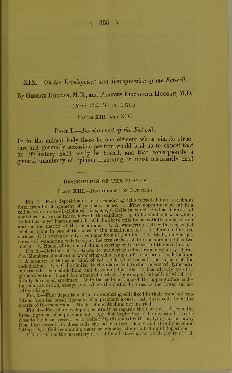 XlX—On the Development and Retrogression of the Fat-cell. By Geokgb Hoggan, M.B., and Frances Elizabeth Hoggan, M.D. {Read 12th March, 1879.) Plates XIII. and XIV. Part I.—Development of the Fat cell If in the animal body there he one element whose simple struc- ture and generally accessible position would lead us to expect that its life-history could easily be traced, and that consequently a general unanimity of opinion regarding it must necessarily exist DESCRIPTION OF THE PLATES. Plate XIII.—Development of Fat-cells. Fig 1.—First deposition of fat in wandering cells retracted into a globular form from broad ligament of pregnant mouse, a. First appearance of fat in a cell as two minute oil-globules, b, c, d, e, f. Cells in wluch gradual mcreuse of contained fat can be traced towards the capillary, g. Cells similar to a in which no fat has as yet been deposited. All the above cells he beneath the endothelium and in the matrix of the membrane, h. A wandering cell with constricted nucleus lying in one of the holes in the membrane, and therefore on the free surface; it is evidently only a younger form of g and A. i, j. Still younger spe- cimens of wandering culls lying on the free surface of the membrane ; i has two nuclei, k. Nuclei of the endothelium covering both surfaces of the membrane. Fig. 2.—Relation of fat - tracts to wandering cells, from mesentery of rat. d e. Members of a shoal of wandering cells lying on free surface of endothelium. o. A member of Iho siime kind of cells, but lying beneath the surface of the endothelium. 6, c. Cells similar to tlie above, but further advanced, lying also underneath the endothelium and becoming fat-cells; b has already two fat- globules within it, and has attached itself to the group of fat-cells of which / is a fully developed specimen. Only the cell-markings of the upper surface endo- thelium are drawn, except at a, where the dotted line marks the lower surface cell-markings. , ■, Fig. 3.—First deposition of fat in wandering cells fixed in their brancJied con- dition, from the broad ligament of a pregnant mouse. All those cells lie in the matrix of the membrane. Nuclei of cndotlielium not inserted. Fig. 4.—Fat-cells developing centrally as regards the blood-vessel, from the broad ligament of a pregnant rat. g, g. Fat beginning to bo deposited in cells close to the blood-vessel, n, n. Cells fully distended with fat, lying farther away from blcjod-vessol; in these culls the fat has been slowly and steadily accumu- lating. 6, 6. Cells containing many fat-globules, the result of rapid deposition. Fig. From the mesentery of a rat found sturving, ti) which plenty of rich li