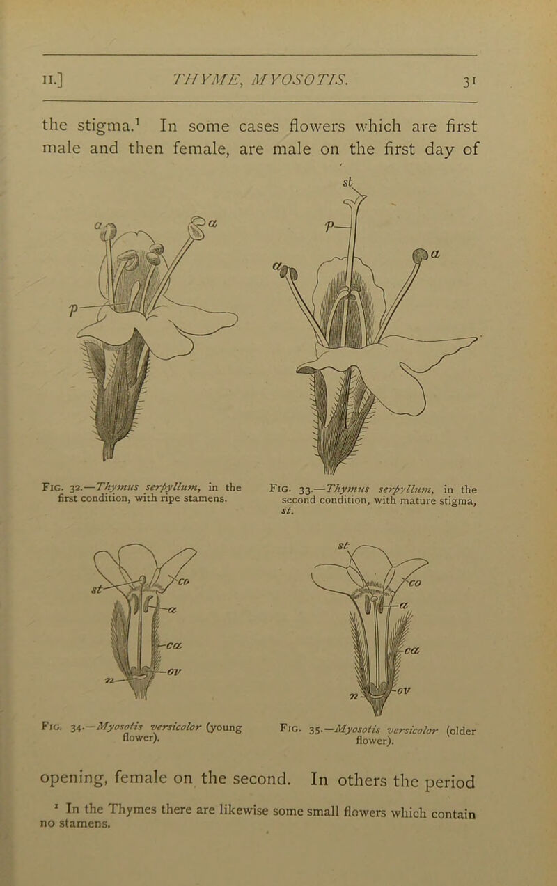 the stigma.1 In some cases flowers which are first male and then female, are male on the first day of Fig. 3\.—Myosotis versicolor (young flower). Fig. 35.—Myosotis versicolor (older flower). opening, female on the second. In others the period 1 In the Thymes there are likewise some small flowers which contain no stamens.