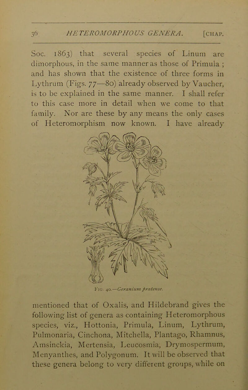 Soc. 1863) that several species of Linum are dimorphous, in the same manner as those of Primula ; and has shown that the existence of three forms in Lythrum (Figs. 77—80) already observed by Vaucher, is to be explained in the same manner. I shall refer to this case more in detail when we come to that family. Nor are these by any means the only cases of Heteromorphism now known. I have already mentioned that of Oxalis, and Hildebrand gives the following list of genera as containing I leteromorphous species, viz., Hottonia, Primula, Linum, Lythrum, Pulmonaria, Cinchona, Mitchella, Plantago, Rhamnus, Amsinckia, Mertensia, Leucosmia, Drymospermum, Menyanthes, and Polygonum. It will be observed that these genera belong to very different groups, while on Fig. 40.—Geraniumpratensc.
