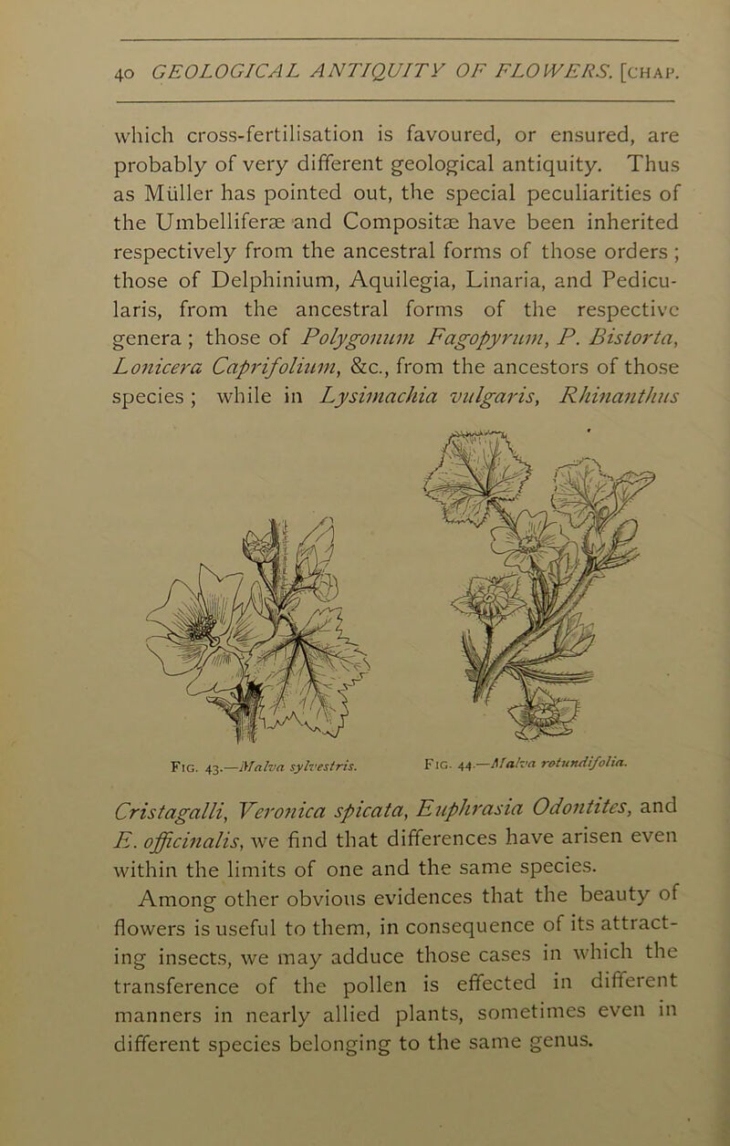 which cross-fertilisation is favoured, or ensured, are probably of very different geological antiquity. Thus as Muller has pointed out, the special peculiarities of the Umbelliferae and Compositae have been inherited respectively from the ancestral forms of those orders ; those of Delphinium, Aquilegia, Linaria, and Pedicu- laris, from the ancestral forms of the respective genera ; those of Polygonum Fagopyrum, P. Bistorta, Lonicera Caprifolium, &c., from the ancestors of those species ; while in Lysimachia vulgaris, Rhinanthus Cristagalli, Veronica spicata, Euphrasia Odontites, and E. officinalis, we find that differences have arisen even within the limits of one and the same species. Among other obvious evidences that the beauty of flowers is useful to them, in consequence of its attract- ing insects, we may adduce those cases in which the transference of the pollen is effected in different manners in nearly allied plants, sometimes even in different species belonging to the same genus.