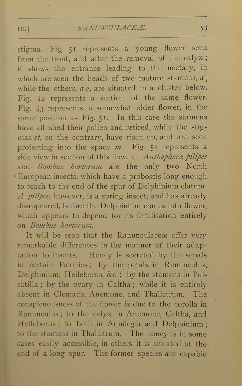 stigma. Fig 51 represents a young flower seen from the front, and after the removal of the calyx ; it shows the entrance leading to the nectary, in which are seen the heads of two mature stamens, a’} while the others, a a, are situated in a cluster below. Fig. 52 represents a section of the same flower. Fig. 53 represents a somewhat older flower, in the same position as Fig. 51. In this case the stamens have all shed their pollen and retired, while the stig- mas st, on the contrary, have risen up, and are seen projecting into the space m. Fig. 54 represents a side view in section of this flower. Antliophora pilipes and Borhbus hortorum are the only two North ' European insects, which have a proboscis long enough to reach to the end of the spur of Delphinium elatum. A. pilipes, however, is a spring insect, and has already disappeared, before the Delphinium comes into flower, which appears to depend for its fertilisation entirely on Bombus hortorum. It will be seen that, the Ranunculaceae offer very remarkable differences in the manner of their adap- tation to insects. Honey is secreted by the sepals in certain Pseonies ; by the petals in Ranunculus, Delphinium, Helleborus, &c.; by the stamens in Pul- satilla ; by the ovary in Caltha ; while it is entirely absent in Clematis, Anemone, and Thalictrum. The conspicuousness of the flower is due to the corolla in Ranunculus; to the calyx in Anemone, Caltha, and Helleborus; to both in Aquilegia and Delphinium; to the stamens in Thalictrum. The honey is in some cases easily accessible, in others it is situated at the end of a long spur. The former species are capable