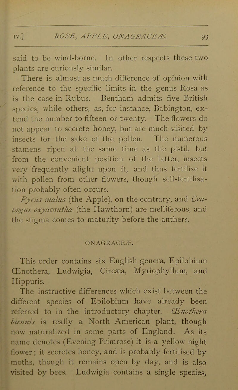 said to be wind-borne. In other respects these two plants are curiously similar. There is almost as much difference of opinion with reference to the specific limits in the genus Rosa as is the case in Rubus. Bentham admits five British species, while others, as, for instance, Babington, ex- tend the number to fifteen or twenty. The flowers do not appear to secrete honey, but are much visited by insects for the sake of the pollen. The numerous stamens ripen at the same time as the pistil, but from the convenient position of the latter, insects very frequently alight upon it, and thus fertilise it with pollen from other flowers, though self-fertilisa- tion probably often occurs. Pyrus mains (the Apple), on the contrary, and Cra- tcegns oxyacantha (the Hawthorn) are melliferous, and the stigma comes to maturity before the anthers. ONAGRACE/E. This order contains six English genera, Epilobium CEnothera, Ludwigia, Circaea, Myriophyllum, and Hippuris. The instructive differences which exist between the different species of Epilobium have already been referred to in the introductory chapter. CEnothera biennis is really a North American plant, though now naturalized in some parts of England. As its name denotes (Evening Primrose) it is a yellow night flower; it secretes honey, and is probably fertilised by moths, though it remains open by day, and is also visited by bees. Ludwigia contains a single species,