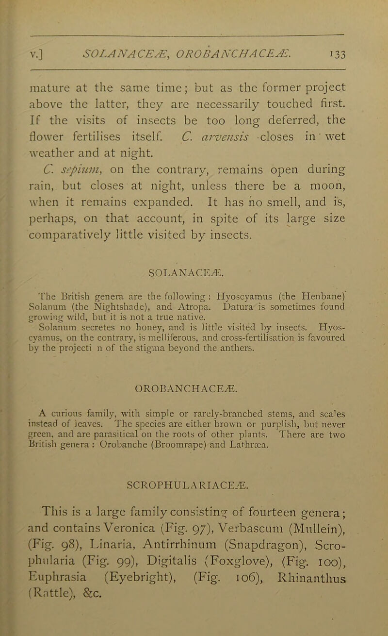 mature at the same time; but as the former project above the latter, they are necessarily touched first. If the visits of insects be too long deferred, the flower fertilises itself. C. arvensis closes in' wet weather and at night. C. srpiwn, on the contrary, remains open during rain, but closes at night, unless there be a moon, when it remains expanded. It has ho smell, and is, perhaps, on that account, in spite of its large size comparatively little visited by insects. SOLANACEAi. The British genera are the following : Hyoscyamus (the Henbane) Solanum (the Nightshade), and Atropa. Datura is sometimes found growing wild, but it is not a true native. Solanum secretes no honey, and is little visited by insects. Hyos- cyamus, on the contrary, is melliferous, and cross-fertilisation is favoured by the projecti n of the stigma beyond the anthers. OROBANCHACE/E. A curious family, with simple or rarely-branched stems, and sca’es instead of leaves. The species are either brown or purplish, but never green, and are parasitical on the roots of other plants. There are two British genera : Orobanche (Broomrape) and Laihnea. SCROPHULA RIACE.'E. This is a large family consisting of fourteen genera; and contains Veronica (Fig. 97), Verbascum (Mullein), (Fig. 98), Linaria, Antirrhinum (Snapdragon), Scro- phularia (Fig. 99), Digitalis (Foxglove), (Fig. 100), Euphrasia (Eyebright), (Fig. 106), Rhinanthus (Rattle), &c.