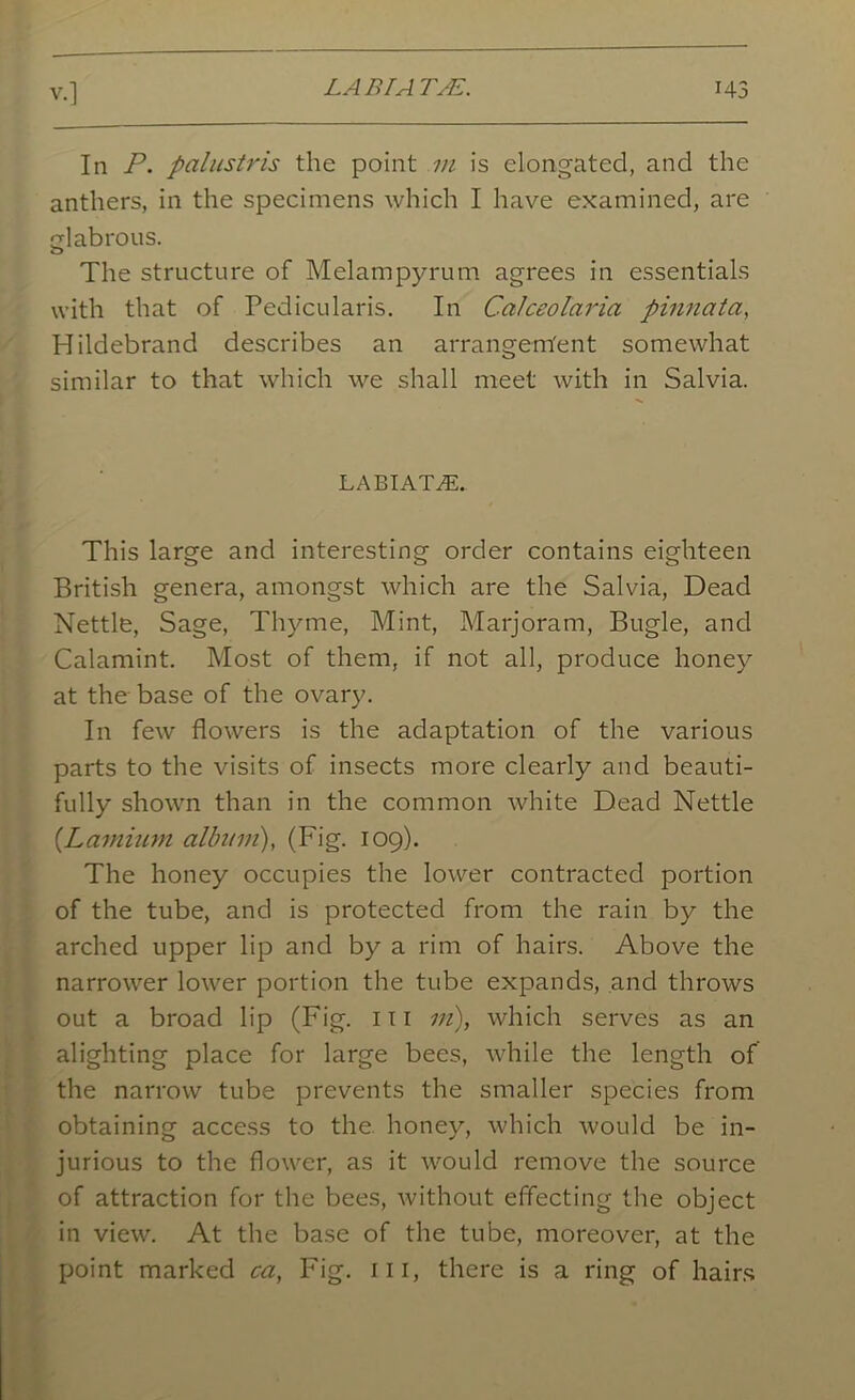 In P. palustris the point in is elongated, and the anthers, in the specimens which I have examined, are glabrous. The structure of Melampyrum agrees in essentials with that of Fedicularis. In Calceolaria pinnata, Hildebrand describes an arrangem'ent somewhat similar to that which we shall meet with in Salvia. LABIATE. This large and interesting order contains eighteen British genera, amongst which are the Salvia, Dead Nettle, Sage, Thyme, Mint, Marjoram, Bugle, and Calamint. Most of them, if not all, produce honey at the base of the ovary. In few flowers is the adaptation of the various parts to the visits of insects more clearly and beauti- fully shown than in the common white Dead Nettle (Lamium album), (Fig. 109). The honey occupies the lower contracted portion of the tube, and is protected from the rain by the arched upper lip and by a rim of hairs. Above the narrower lower portion the tube expands, and throws out a broad lip (Fig. 111 m), which serves as an alighting place for large bees, while the length of the narrow tube prevents the smaller species from obtaining access to the honey, which would be in- jurious to the flower, as it would remove the source of attraction for the bees, without effecting the object in view. At the base of the tube, moreover, at the point marked ca, Fig. Ill, there is a ring of hairs