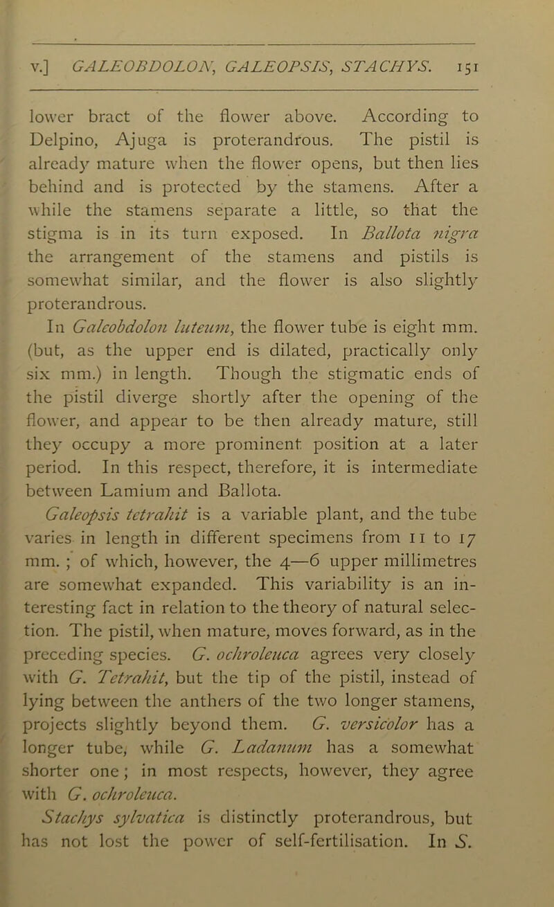 lower bract of the flower above. According to Delpino, Ajuga is proterandrous. The pistil is already mature when the flower opens, but then lies behind and is protected by the stamens. After a while the stamens separate a little, so that the stigma is in its turn exposed. In Ballota 7iigra the arrangement of the stamens and pistils is somewhat similar, and the flower is also slightly proterandrous. In Galcobdolon luteum, the flower tube is eight mm. (but, as the upper end is dilated, practically only six mm.) in length. Though the stigmatic ends of the pistil diverge shortly after the opening of the flower, and appear to be then already mature, still they occupy a more prominent position at a later period. In this respect, therefore, it is intermediate between Lamium and Ballota. Galeopsis tetrahit is a variable plant, and the tube varies in length in different specimens from 11 to 17 mm. ; of which, however, the 4—6 upper millimetres are somewhat expanded. This variability is an in- teresting fact in relation to the theory of natural selec- tion. The pistil, when mature, moves forward, as in the preceding species. G. ochroleuca agrees very closely with G. Tetrahit, but the tip of the pistil, instead of lying between the anthers of the two longer stamens, projects slightly beyond them. G. versicolor has a longer tube, while G. Ladanum has a somewhat shorter one; in most respects, however, they agree with G. ochroleuca. Stachys sylvatica is distinctly proterandrous, but has not lost the power of self-fertilisation. In S.