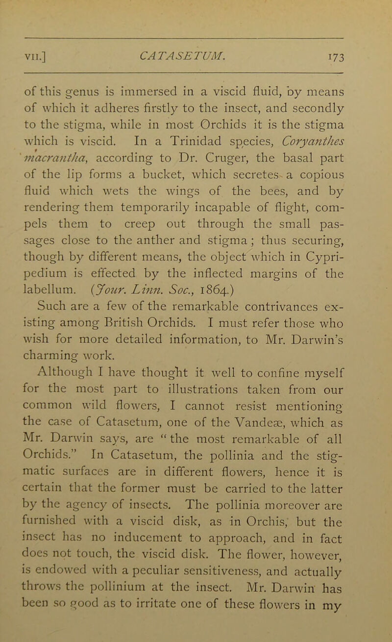 of this genus is immersed in a viscid fluid, by means of which it adheres firstly to the insect, and secondly to the stigma, while in most Orchids it is the stigma which is viscid. In a Trinidad species, Corycinthes t ' macrantha, according to Dr. Cruger, the basal part of the lip forms a bucket, which secretes a copious fluid which wets the wings of the bees, and by rendering them temporarily incapable of flight, com- pels them to creep out through the small pas- sages close to the anther and stigma ; thus securing, though by different means, the object which in Cypri- pedium is effected by the inflected margins of the labellum. {Jour. Linn. Soc., 1864.) Such are a few of the remarkable contrivances ex- isting among British Orchids. I must refer those who wish for more detailed information, to Mr. Darwin’s charming work. Although I have thought it well to confine myself for the most part to illustrations taken from our common wild flowers, I cannot resist mentioning the case of Catasetum, one of the Vandem, which as Mr. Darwin says, are “ the most remarkable of all Orchids.” In Catasetum, the pollinia and the stig- matic surfaces are in different flowers, hence it is certain that the former must be carried to the latter by the agency of insects. The pollinia moreover are furnished with a viscid disk, as in Orchis, but the insect has no inducement to approach, and in fact does not touch, the viscid disk. The flower, however, is endowed with a peculiar sensitiveness, and actually throws the pollinium at the insect. Mr. Darwin has been so good as to irritate one of these flowers in my